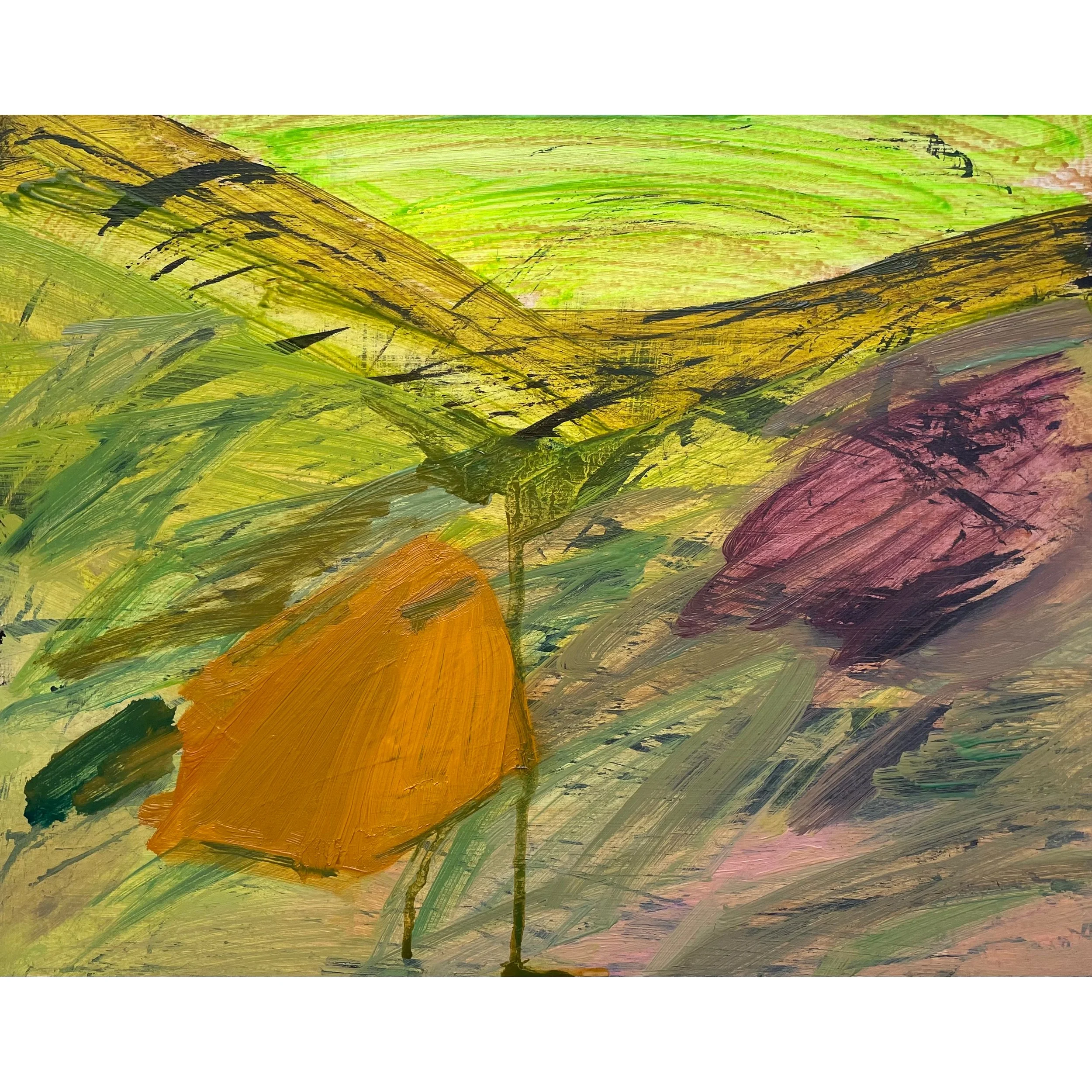 sqTentSWatson copy.jpg