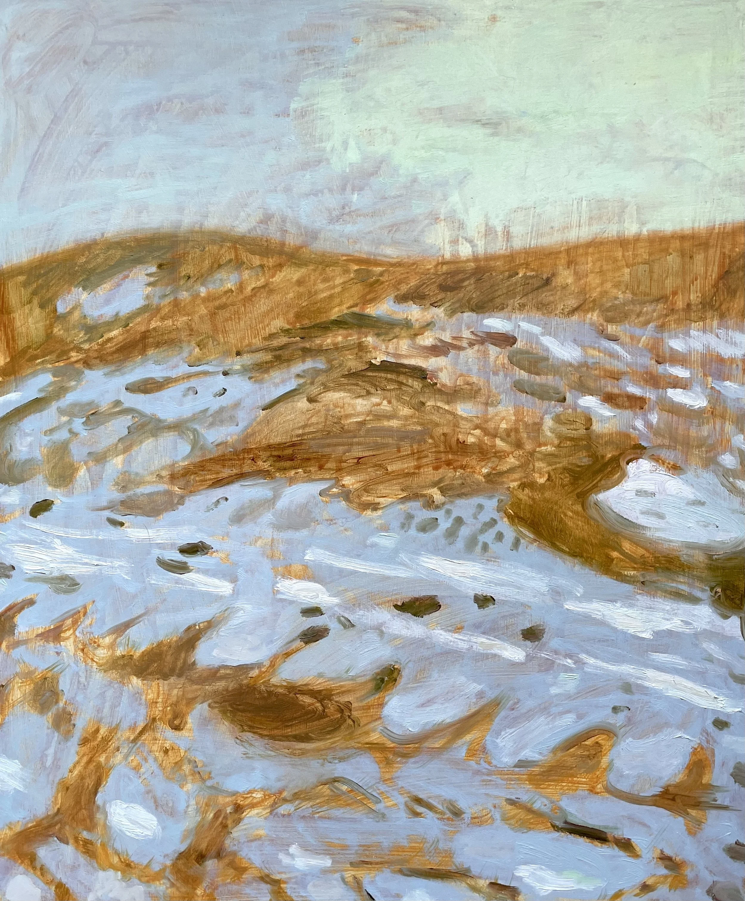 Stacey Watson (Calgary, AB)
Nose Hill, 2025
oil on birch panel
24 x 20"
$675 unframed - click to purchase