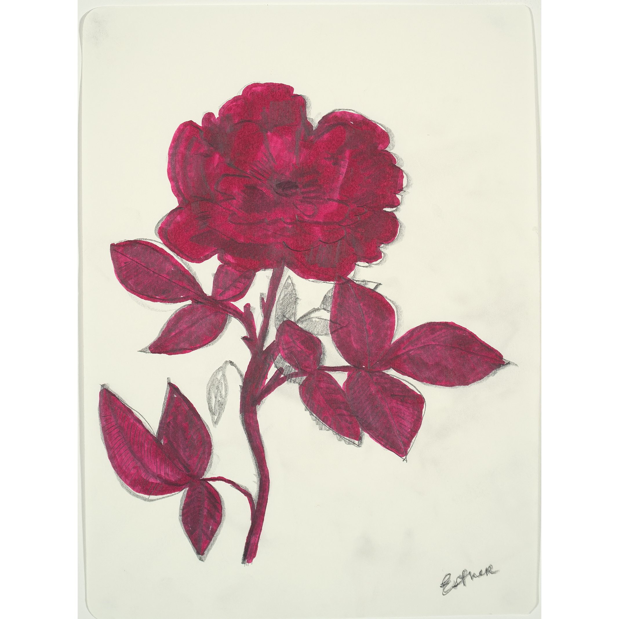 sq-scott_wine_flowers_9.75x7.25_inches_2026 copy 2.jpg