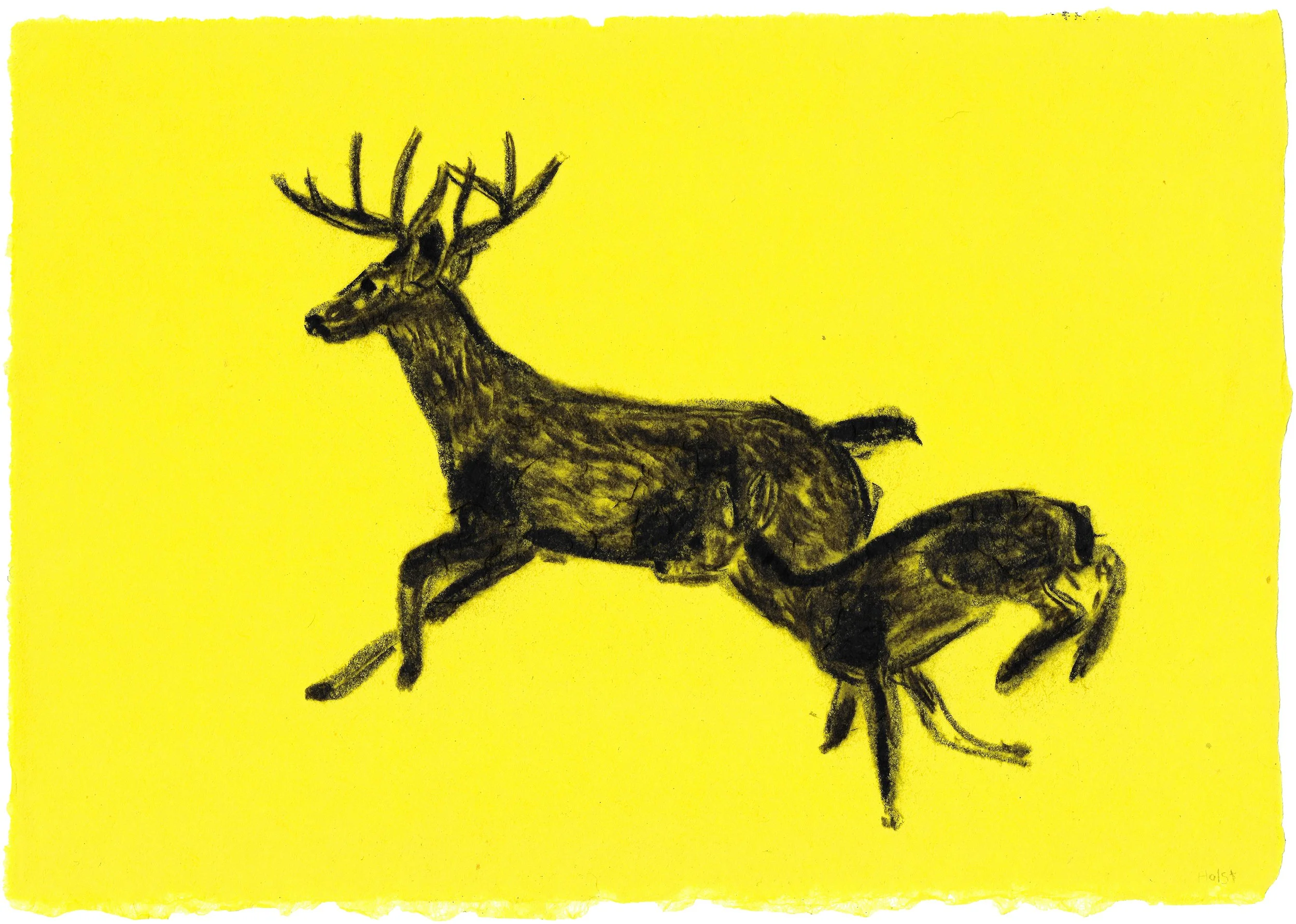 Dana Holst (Edmonton, AB)
Running Deer, 2026
charcoal on kozo paper
10 x 14"
$350 unframed - click to purchase