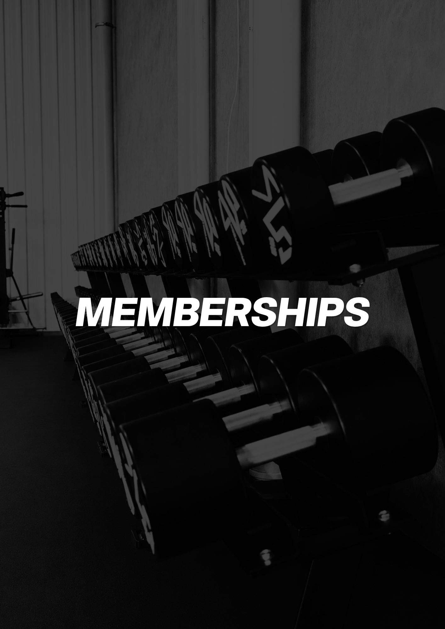 Row of black dumbbells on a rack in a gym with the word MEMBERSHIPS overlaid in white text.
