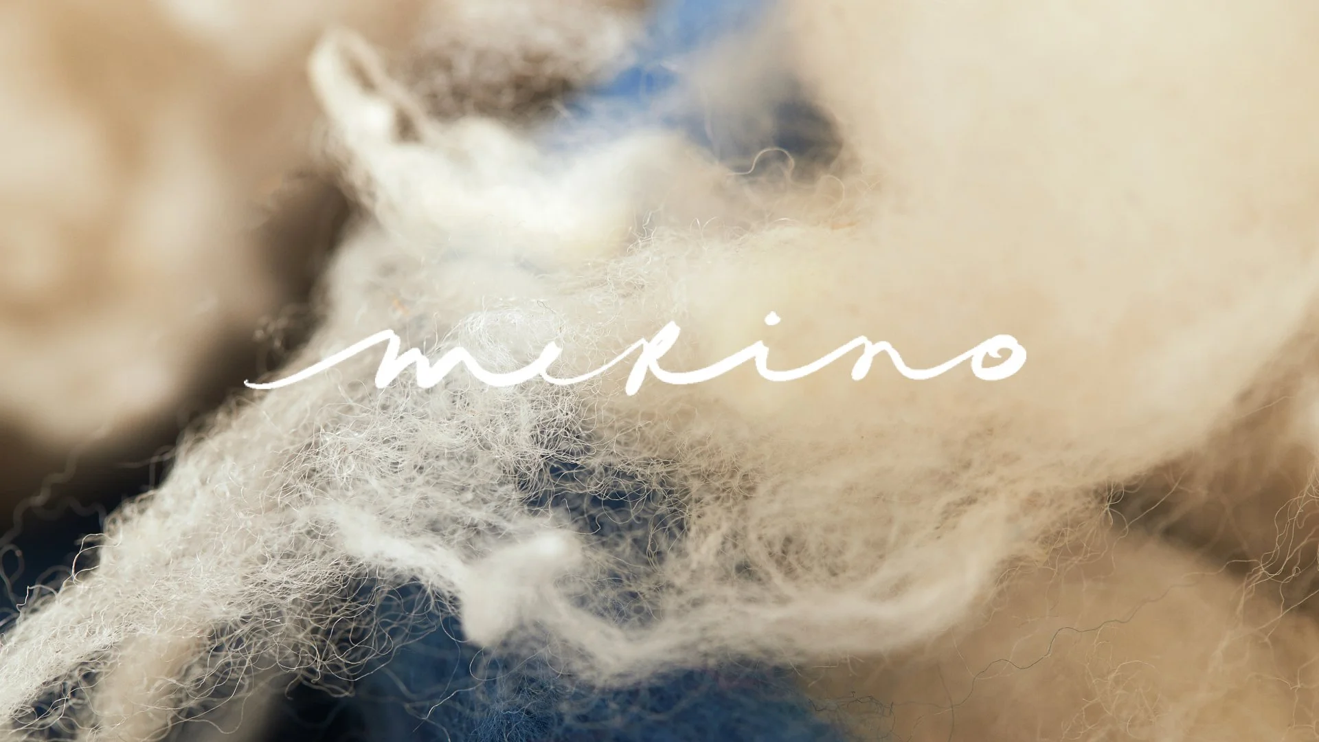 Rothy's Merino Collection