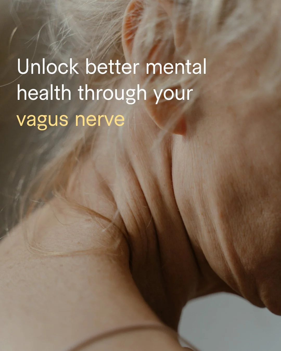 TH_IG_Vagus-Nerve.jpg