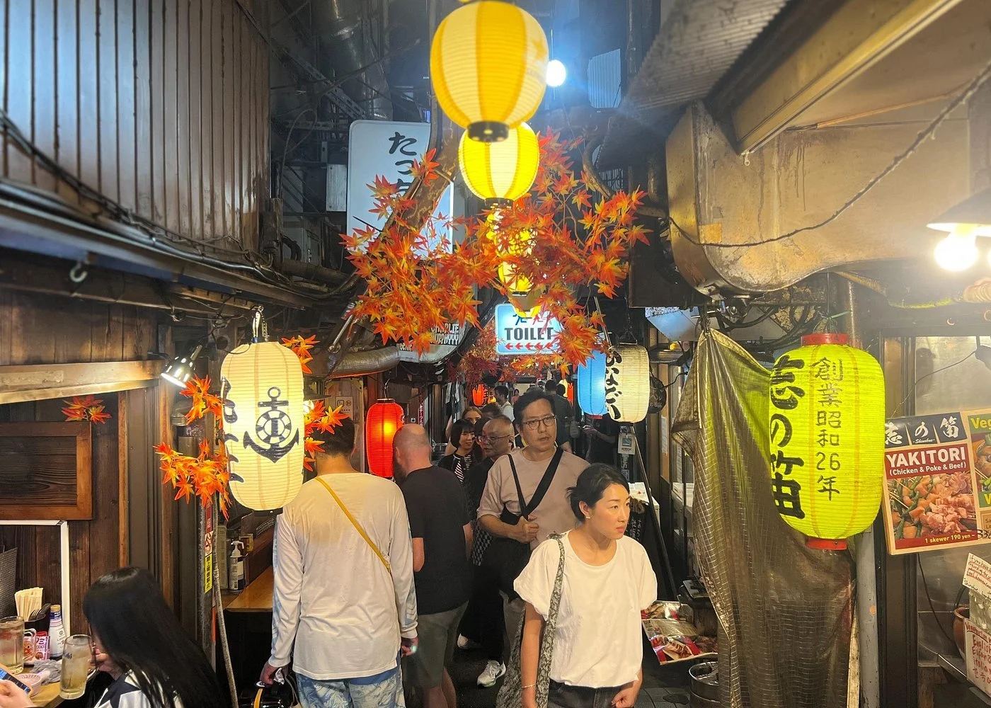 tokyo food tour alleyways Japan