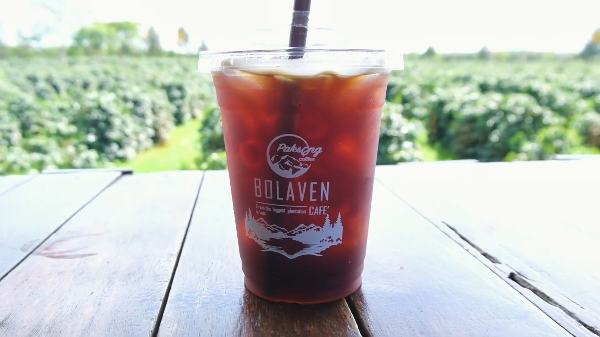 What is laos coffee Bolaven Plateau, Pakse Laos
