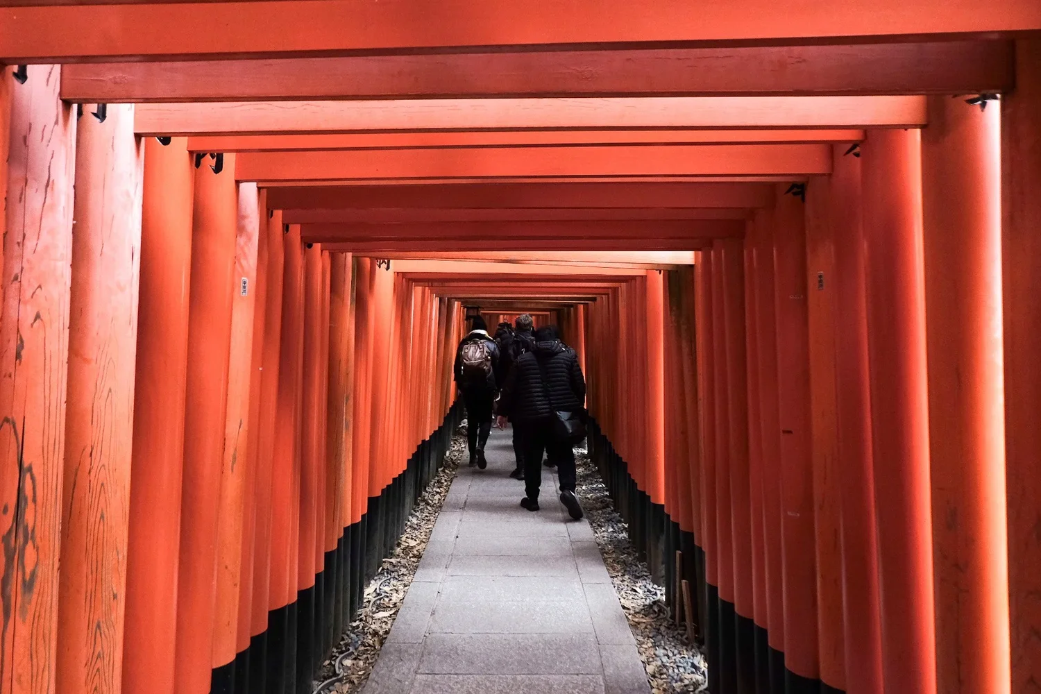 Japan kyoto torii gates