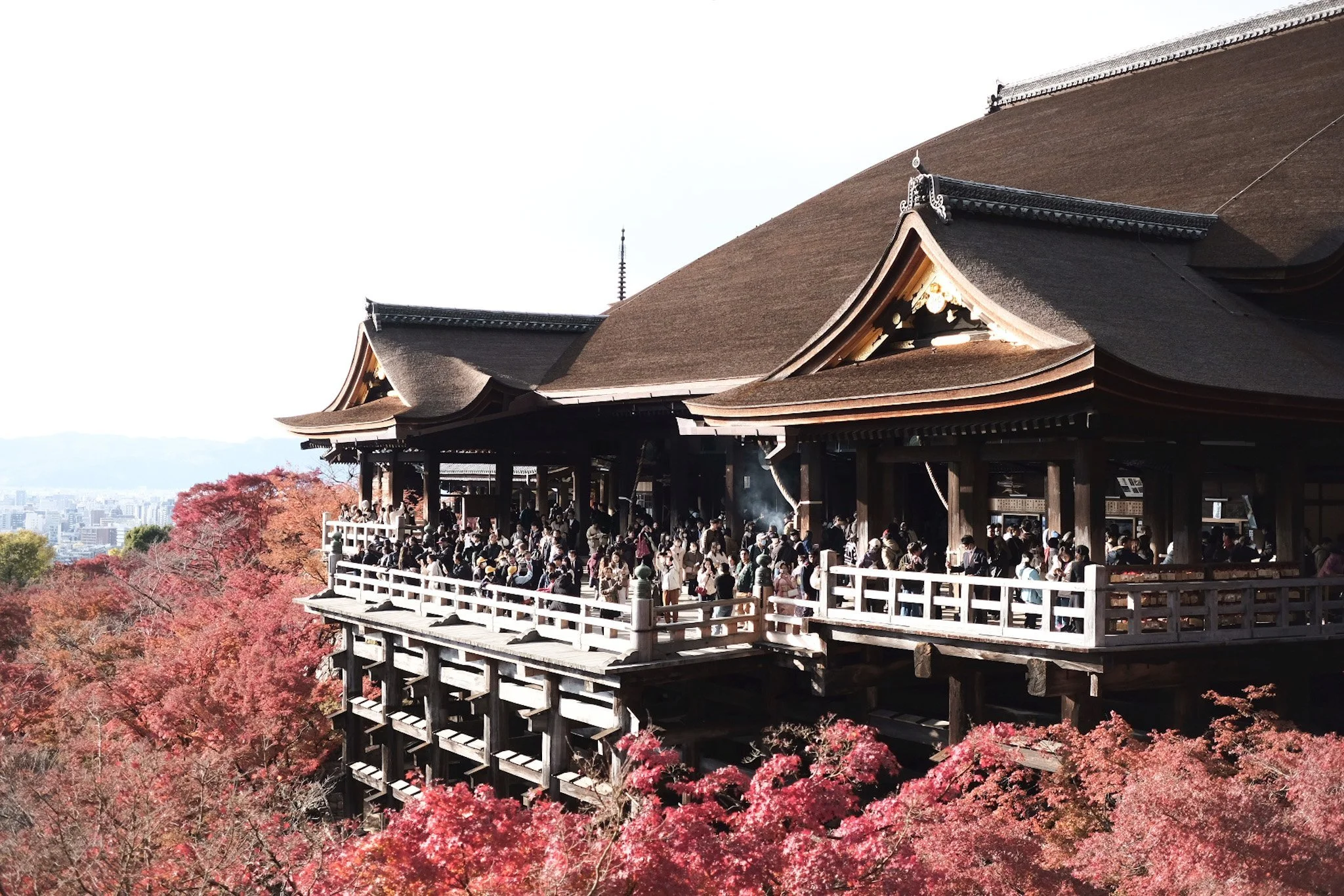 kyoto spring kiyomizu dera temple cherry blossoms