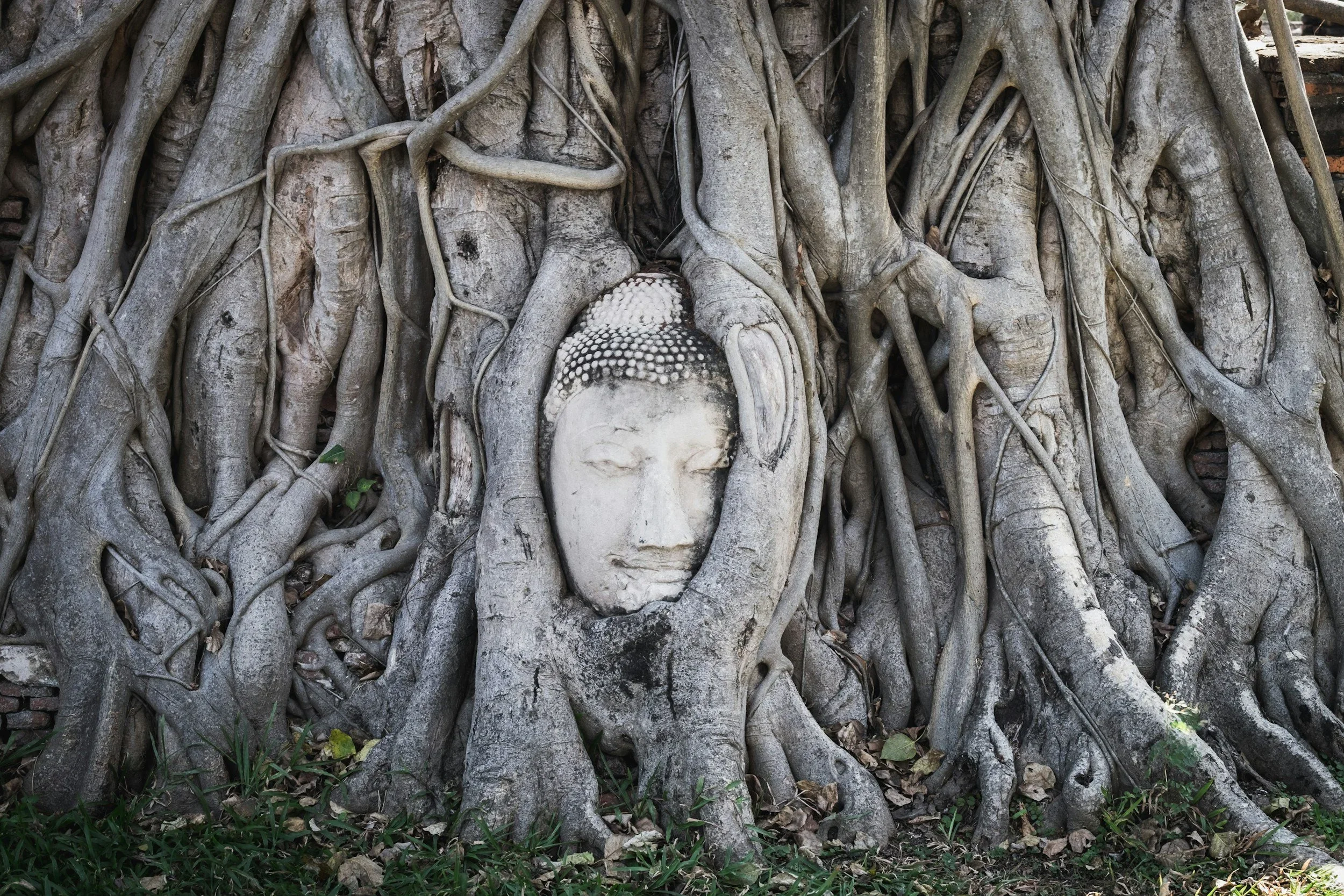 day trip to Ayutthaya, ancient temples