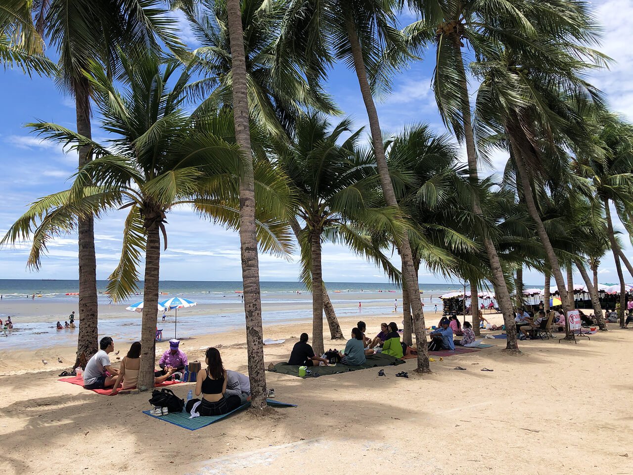 day trips from bangkok to bang saen beach