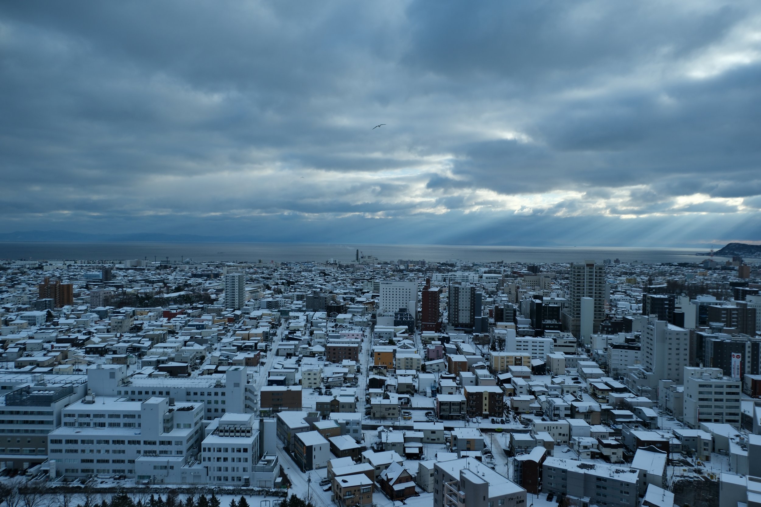 view of hakodate from Goryokaku Tower
