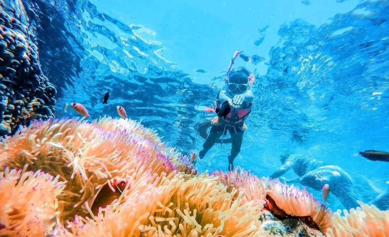 Mu Ko Chang National Park Koh Chang Diving Snorkeling