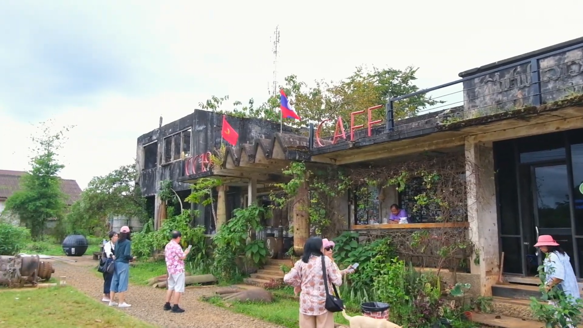 Laos Pakse Bolaven Plateau Cafe Farm CC1971 Cafe