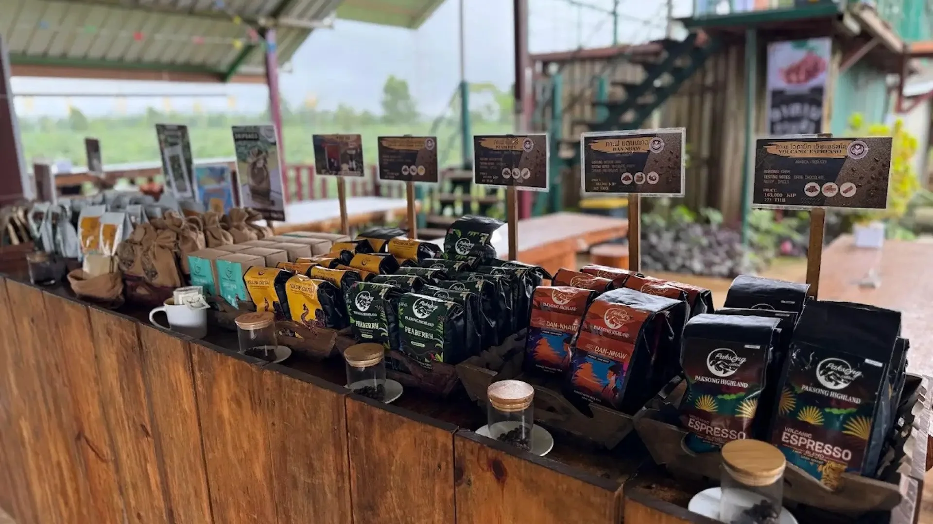 Laos Pakse Bolaven Plateau Cafe Farm Paksong Highland Coffee / Bolaven Cafe