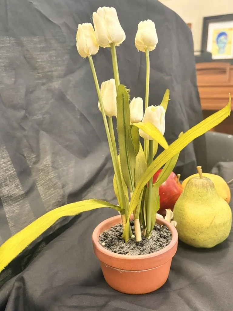 A potted plant with white tulip flowers and green leaves on a black surface, with some pears and apples in the background.
