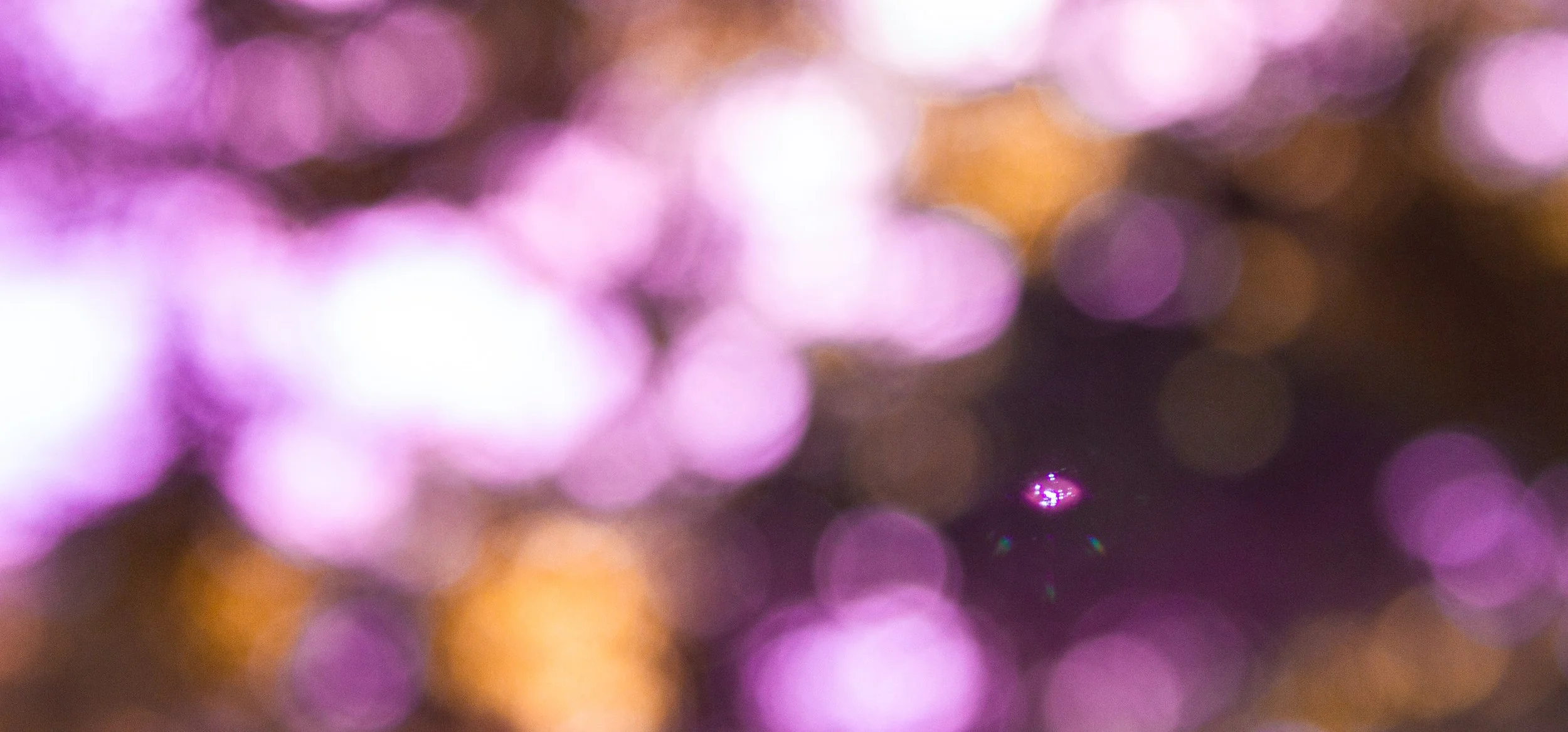 Blurred background of pink, purple, and gold bokeh lights.