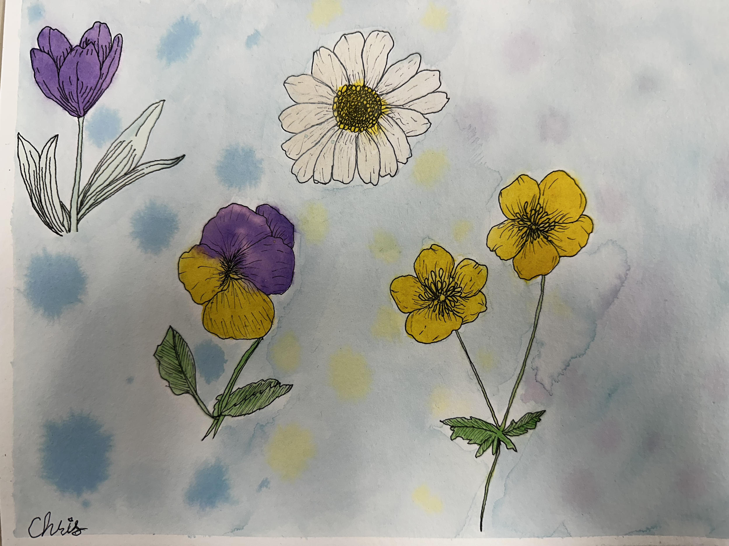 A watercolor illustration of flowers, including purple, yellow, and white blooms, with green leaves and blue and yellow splotches in the background.