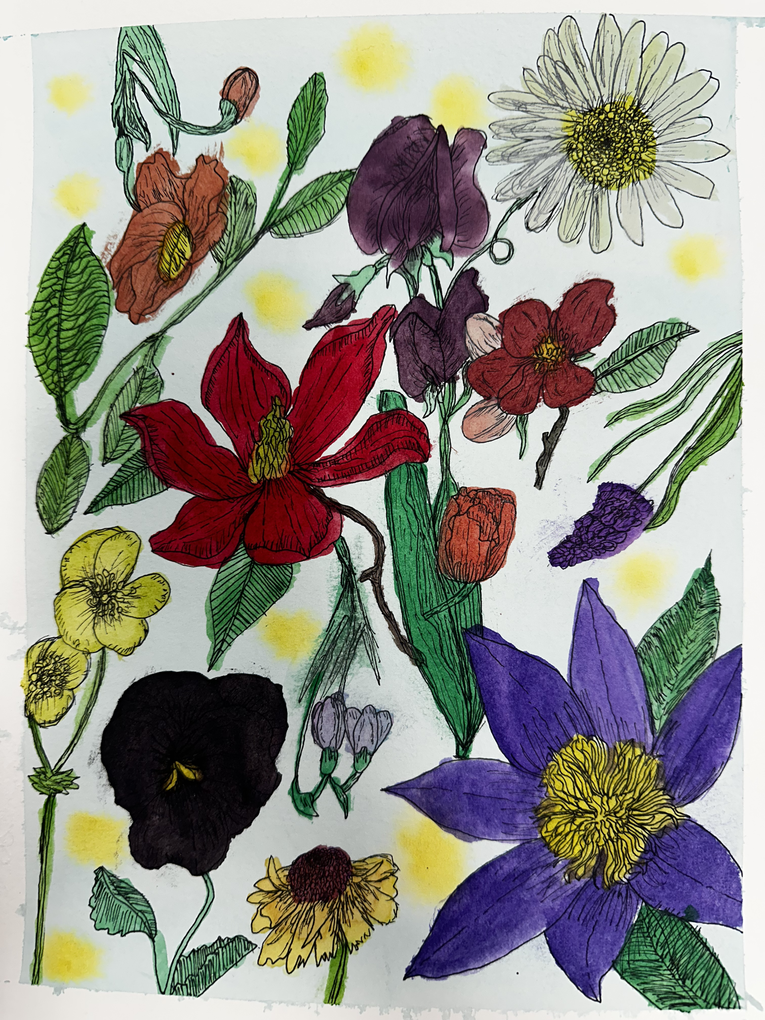 Colorful hand-drawn illustration of various flowers including purple, yellow, red, orange, and black blooms with green leaves on a white background.