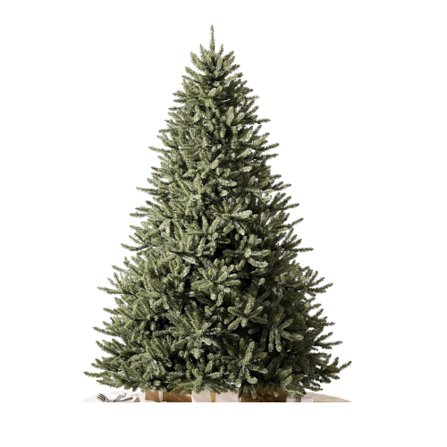 Balsam Hill Christmas Tree.png