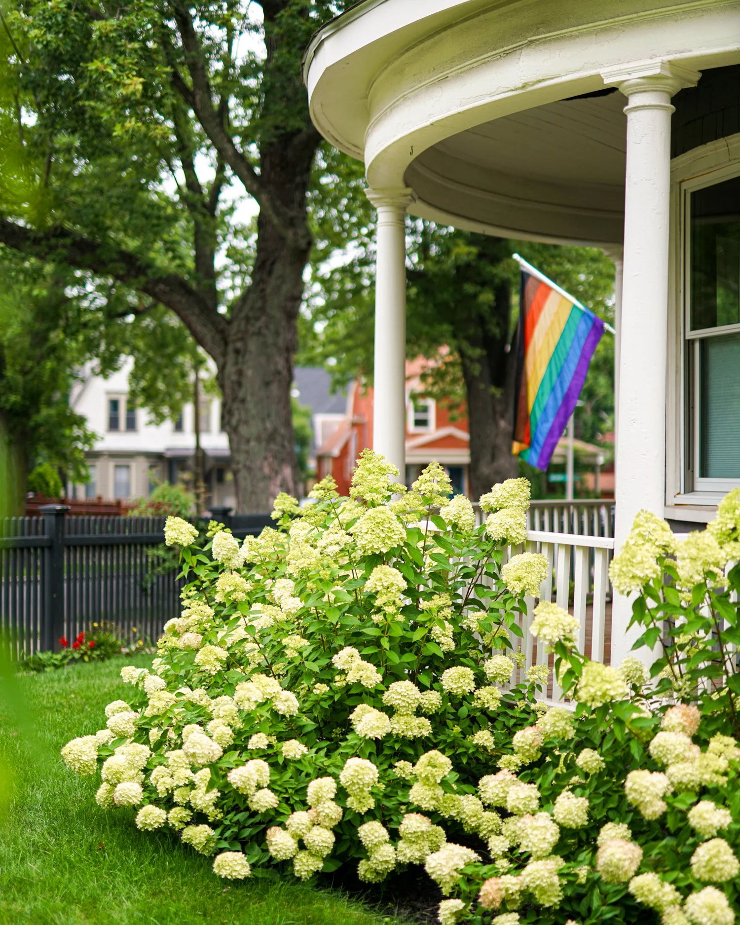 Victorian Outdoors — Renovation Husbands
