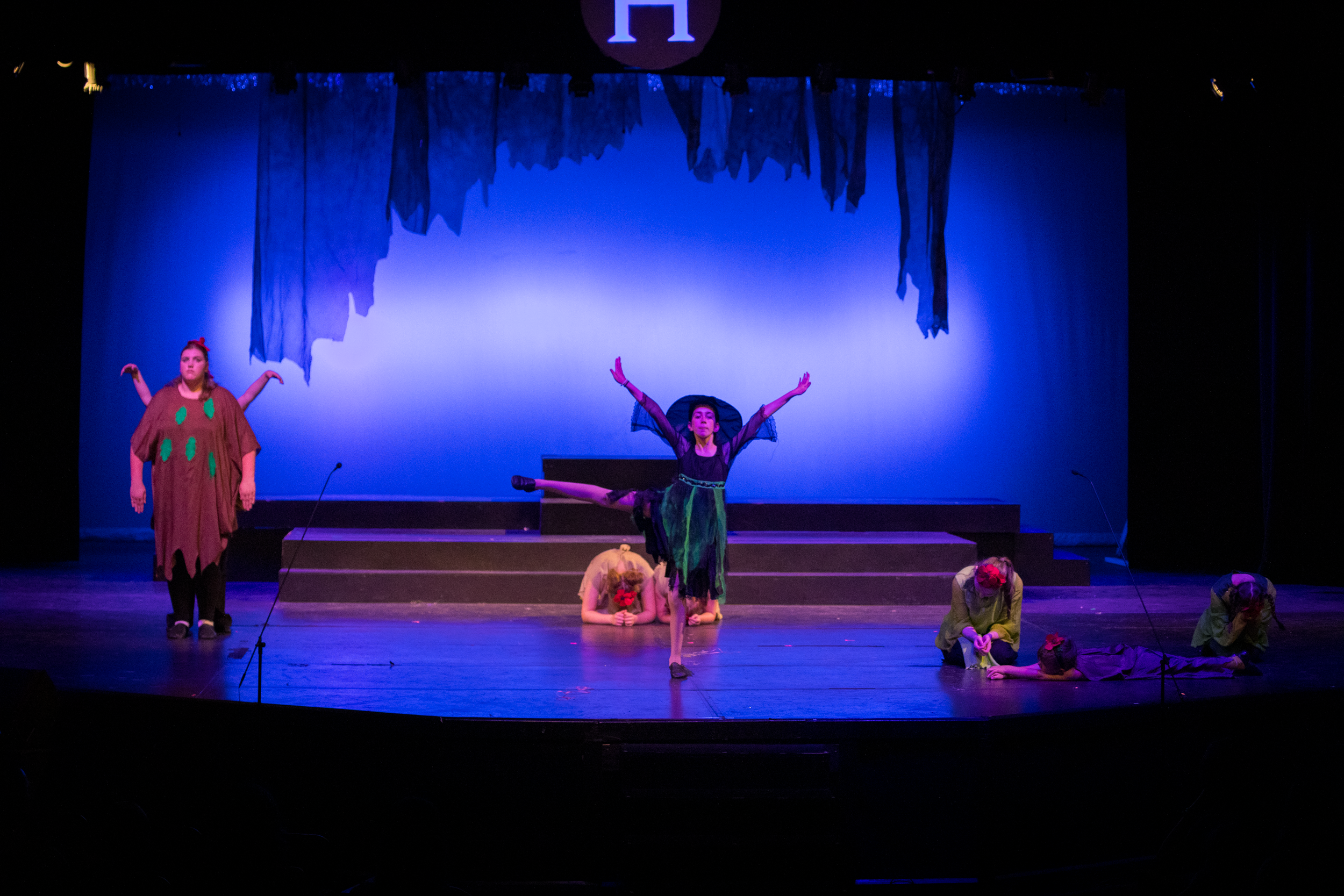 harand_camp-2025-festival_of_shows-wizard_of_oz-49.png