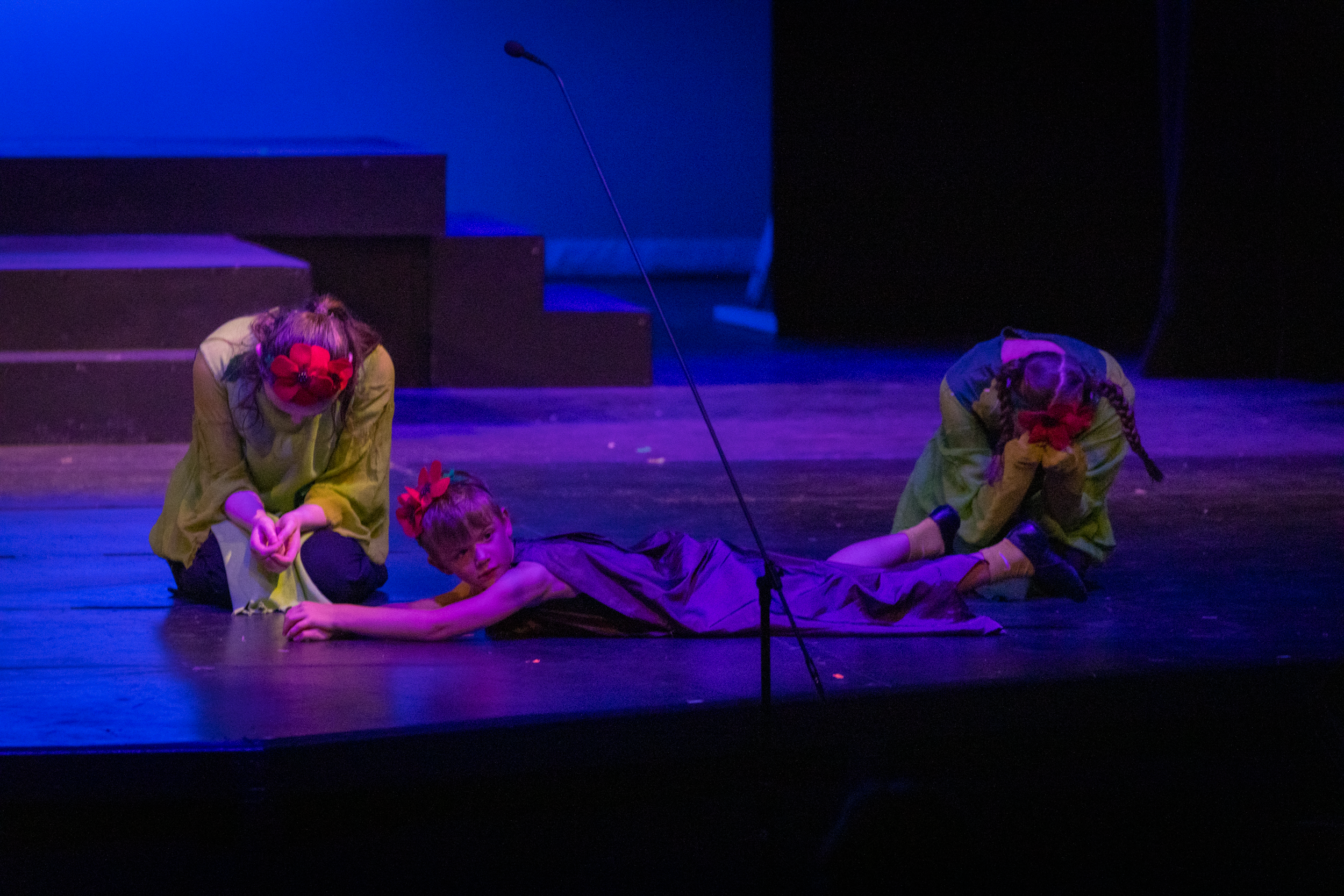 harand_camp-2025-festival_of_shows-wizard_of_oz-47.png