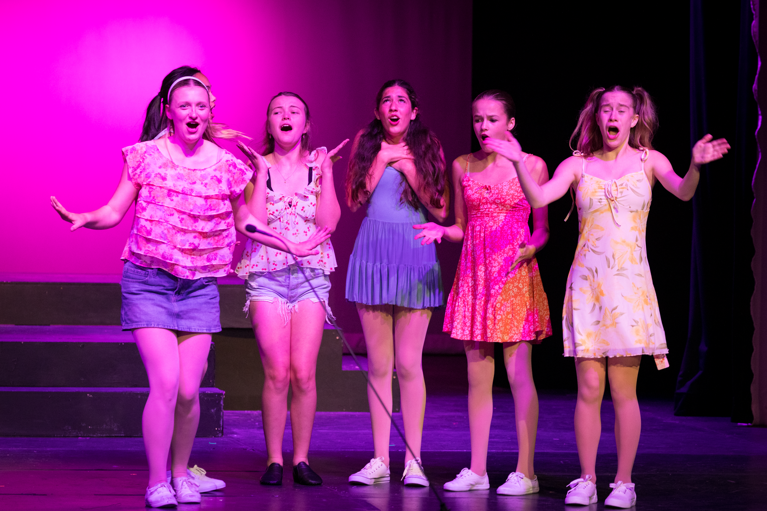 harand_camp-2025-festival_of_shows-legally_blonde-03.png