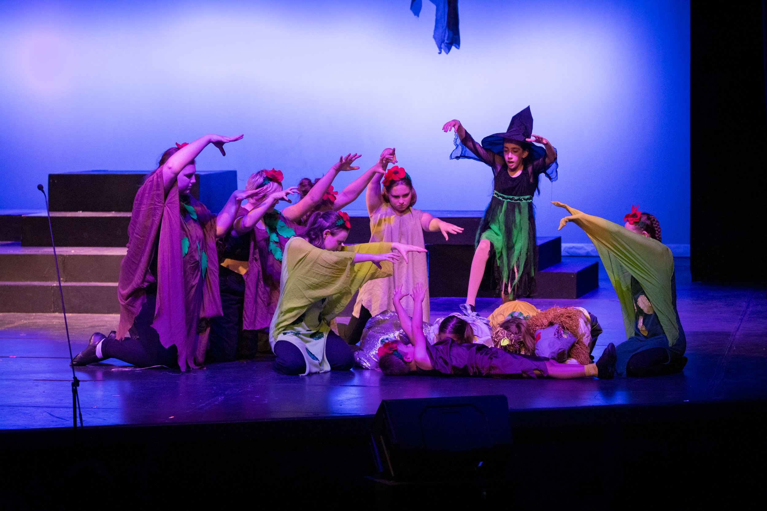 harand_camp-2025-festival_of_shows-wizard_of_oz-53.png