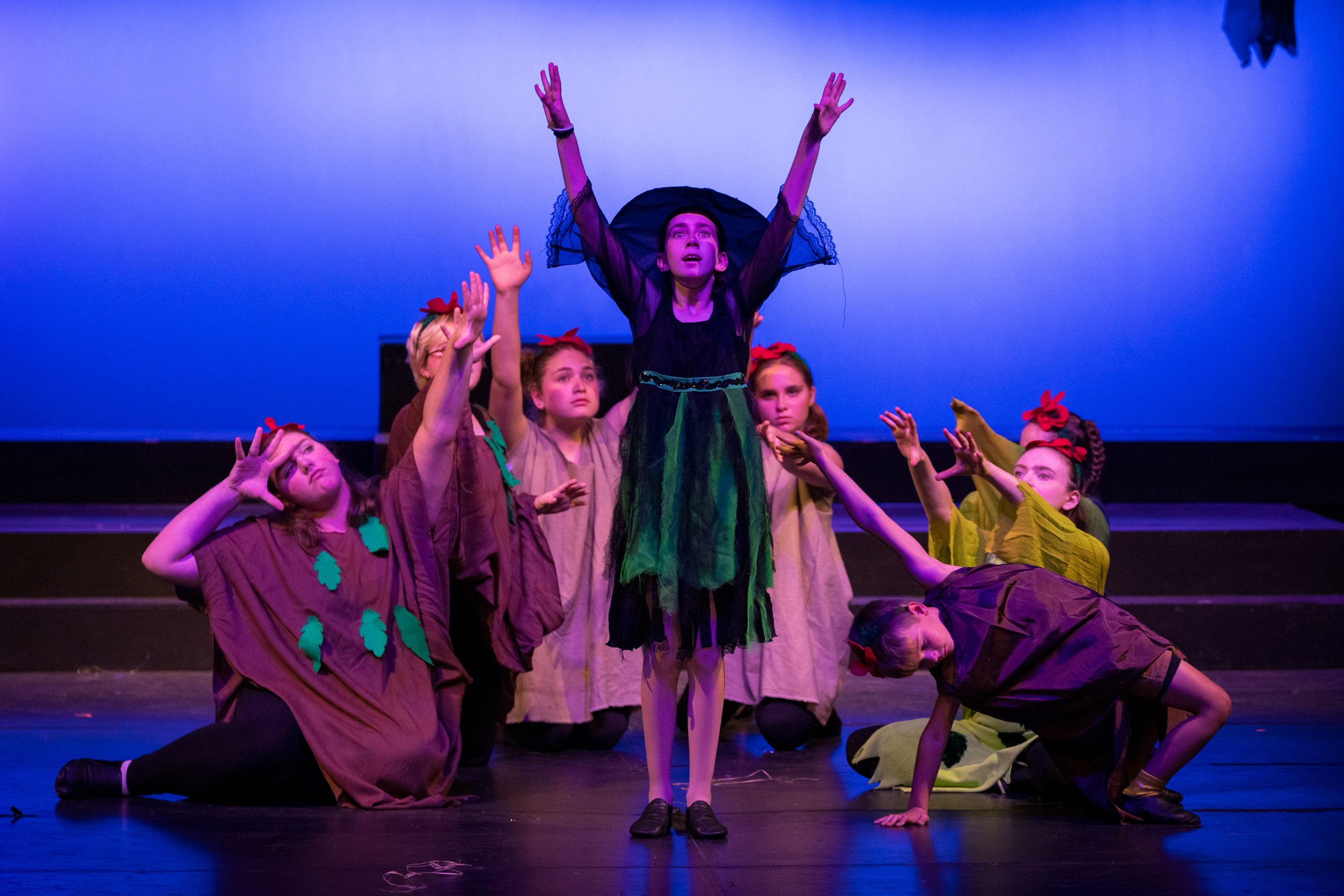 harand_camp-2025-festival_of_shows-wizard_of_oz-50.png