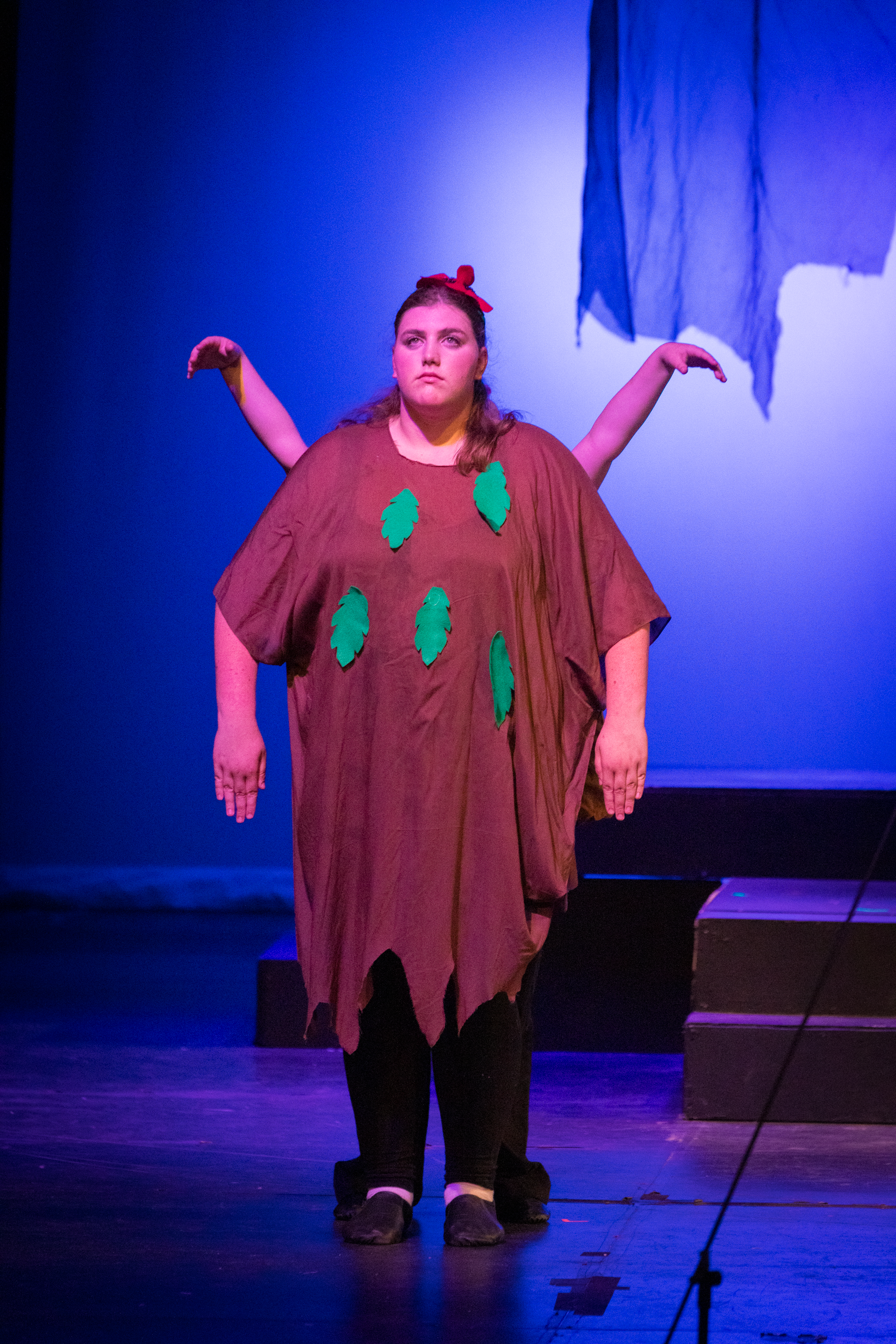 harand_camp-2025-festival_of_shows-wizard_of_oz-48.png