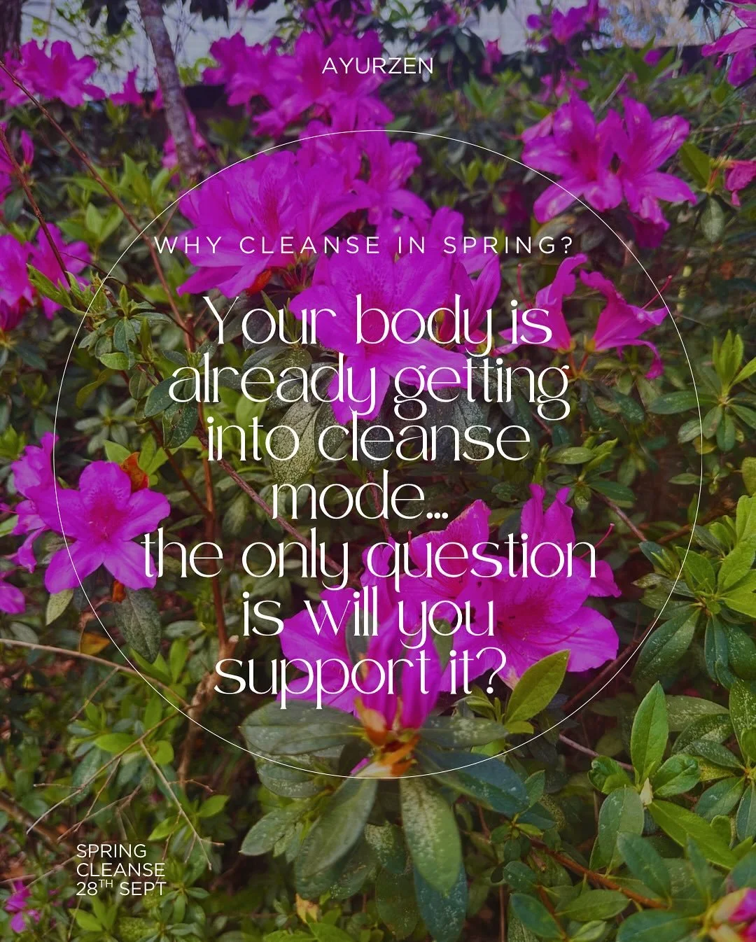 Spring is a Ritu Sandhi, the transitional period of seasonal change. Supporting your digestion and aligning with nature&rsquo;s rhythms during this time can help maintain balance and vitality.

I&rsquo;d love to guide you through this transition with