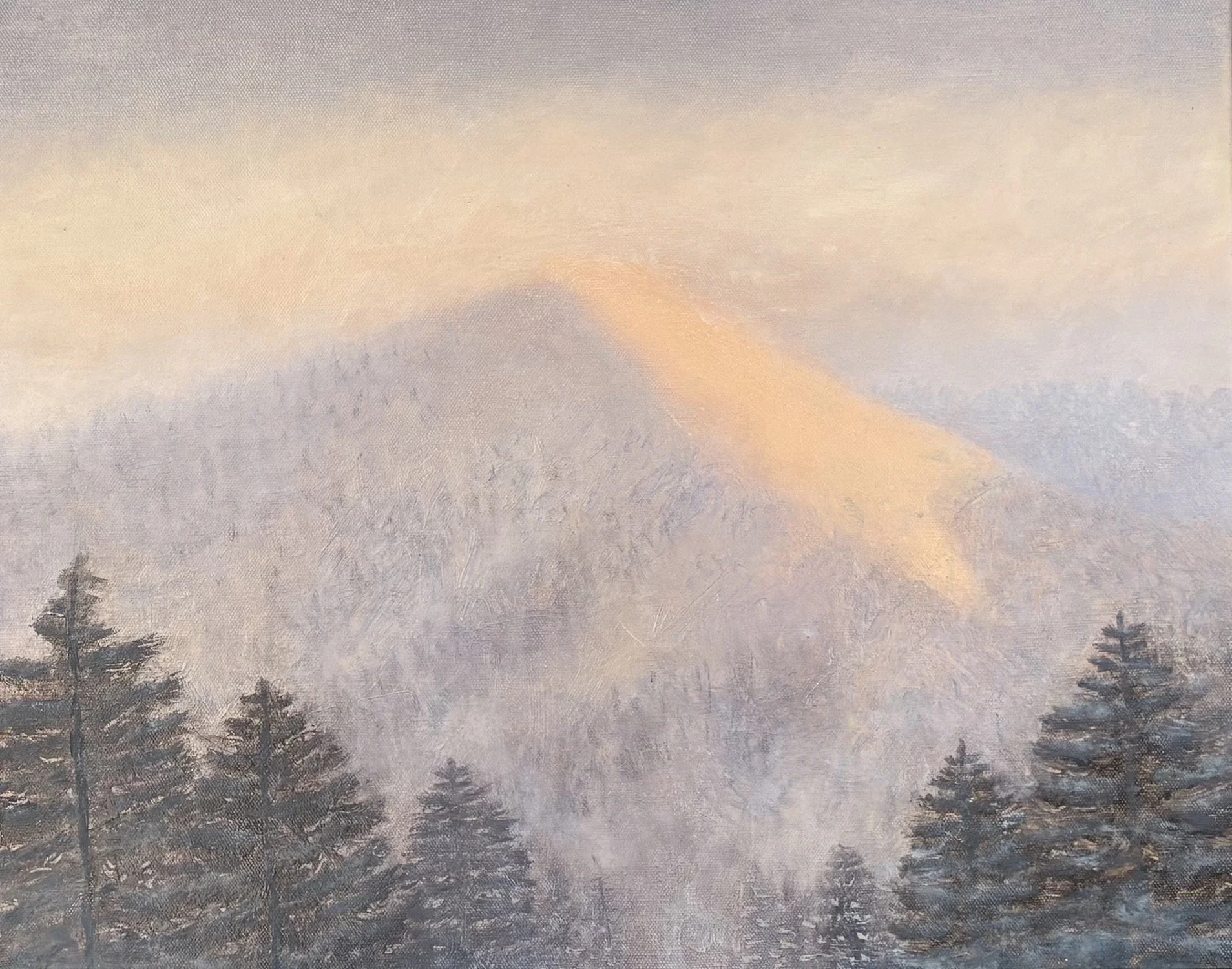 Softly Spoken, 2026, Softly Spoken, Oil on canvas, 16" x 20"