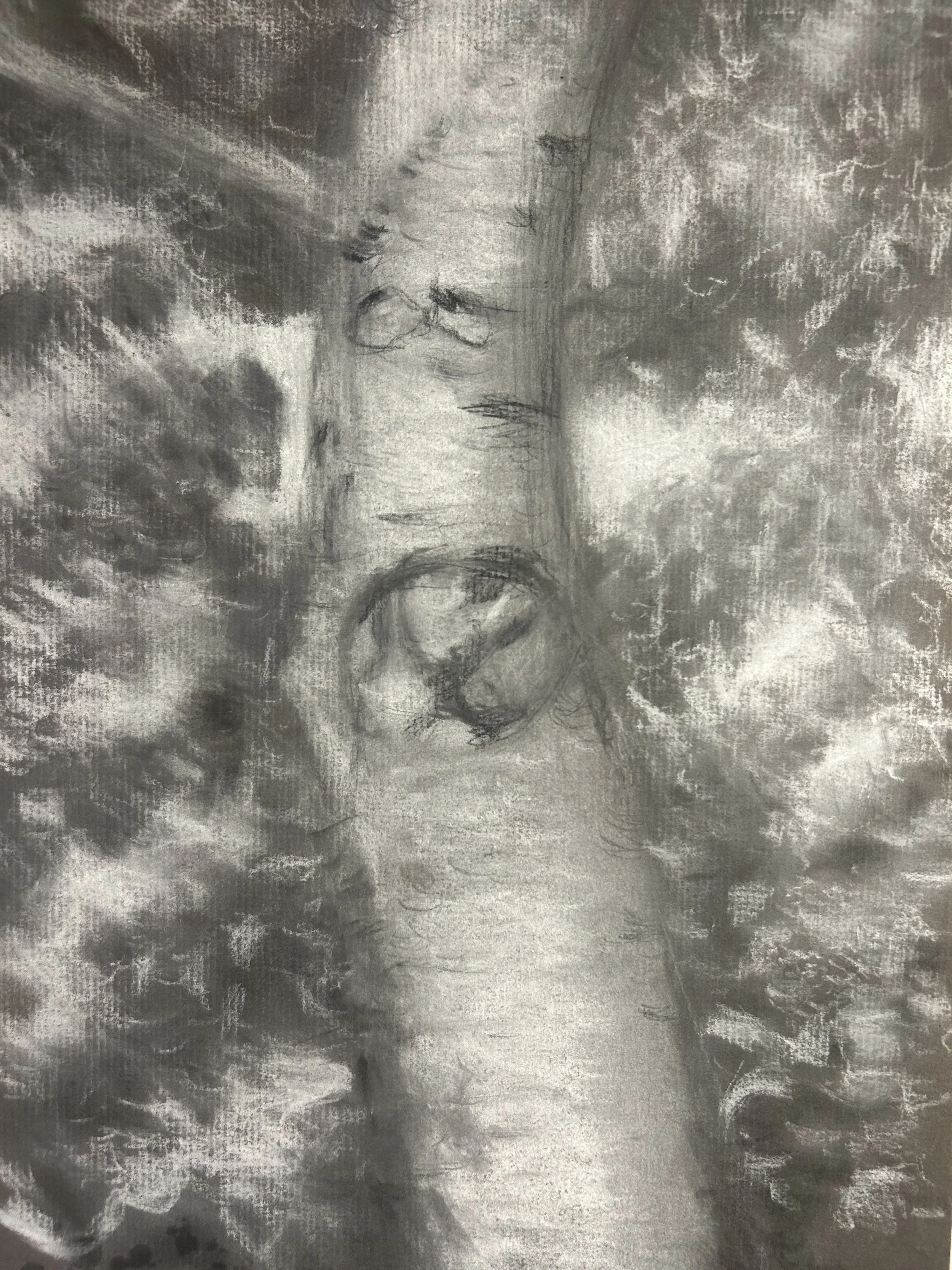 Birch Tree.jpg