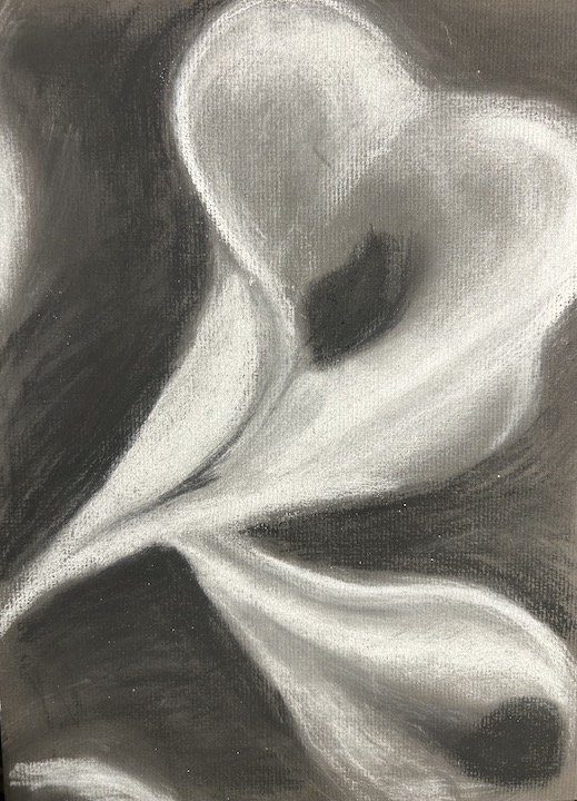 Calla Lily.jpg