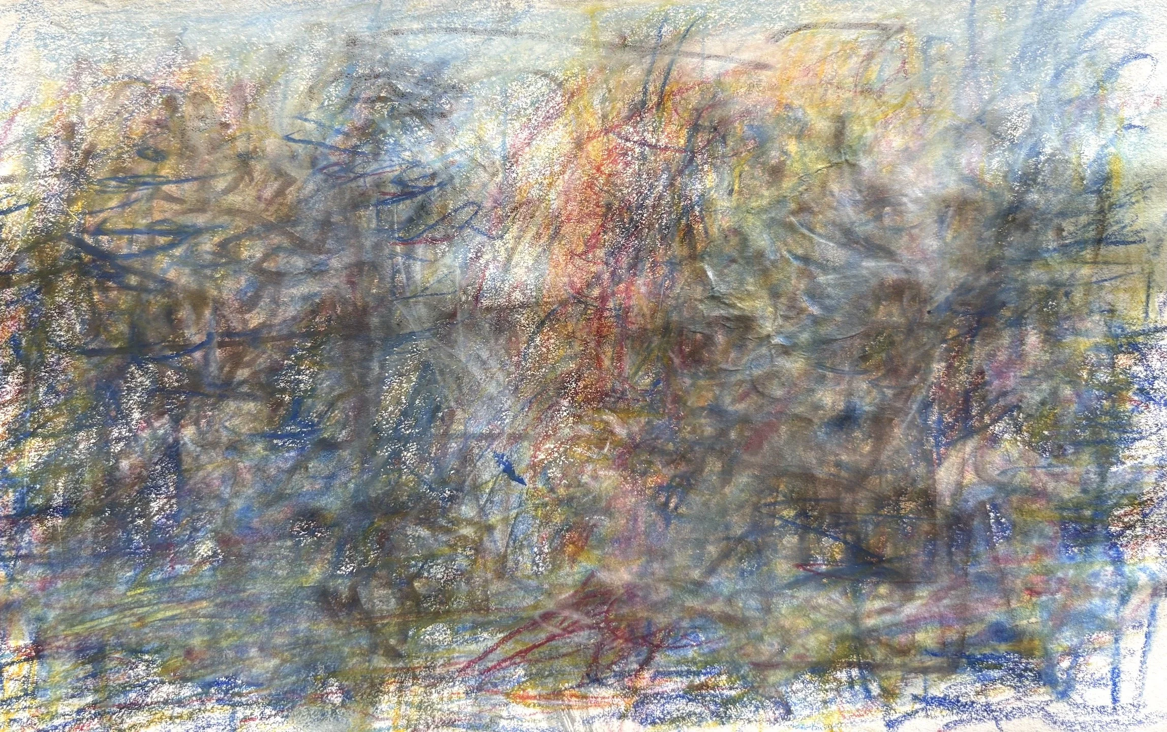 sketchbook trees.jpg