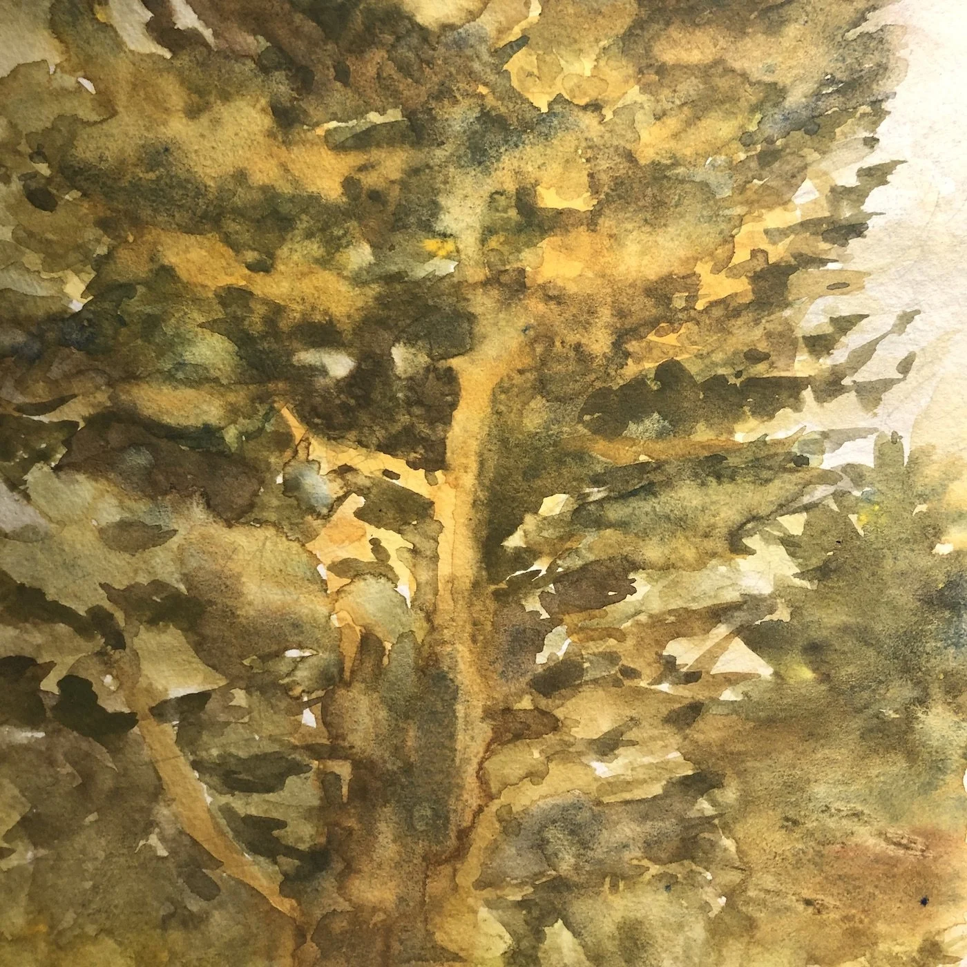 Painting Trees in Watercolor, Online, 3/21