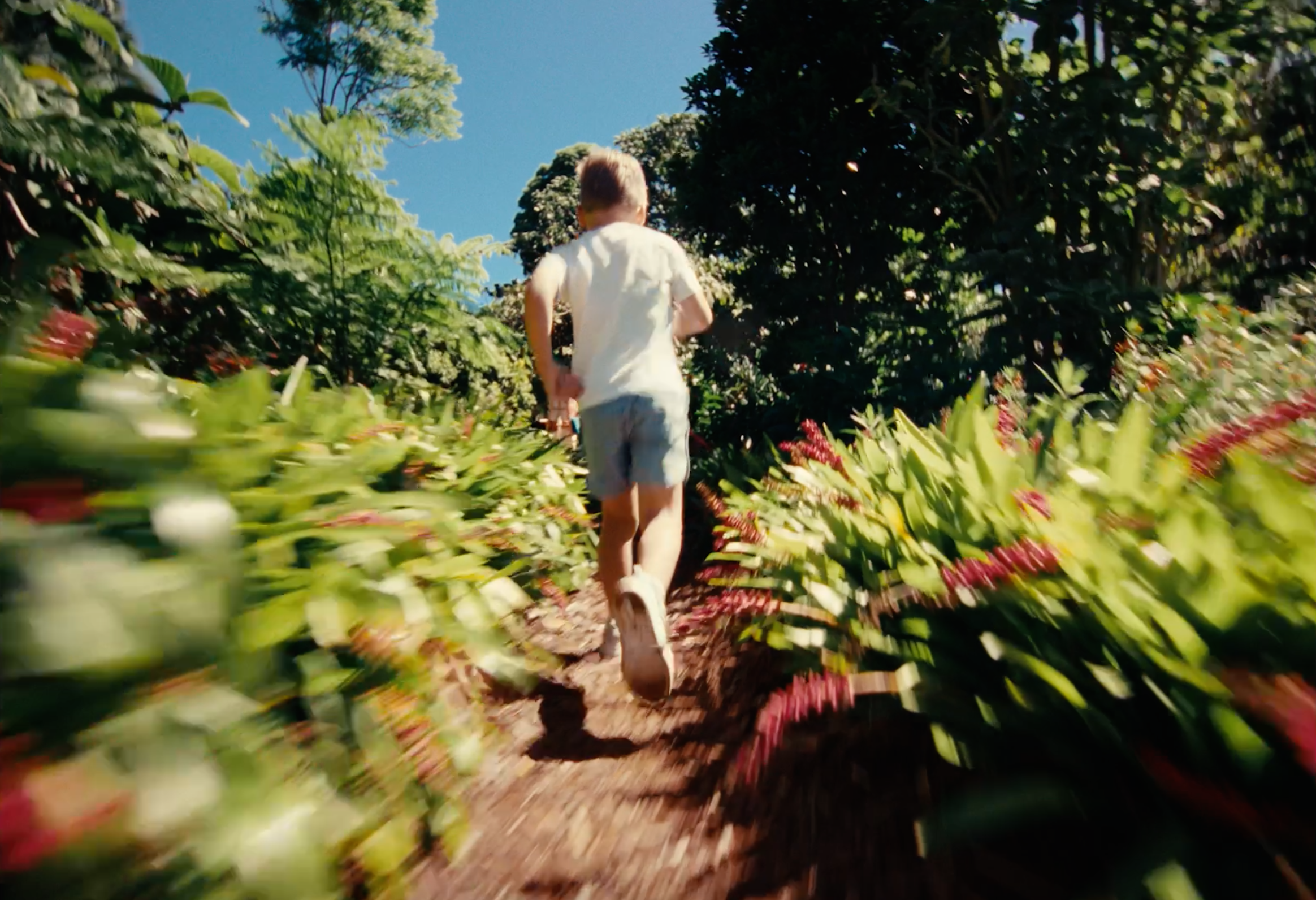 Botanic Gardens Summer