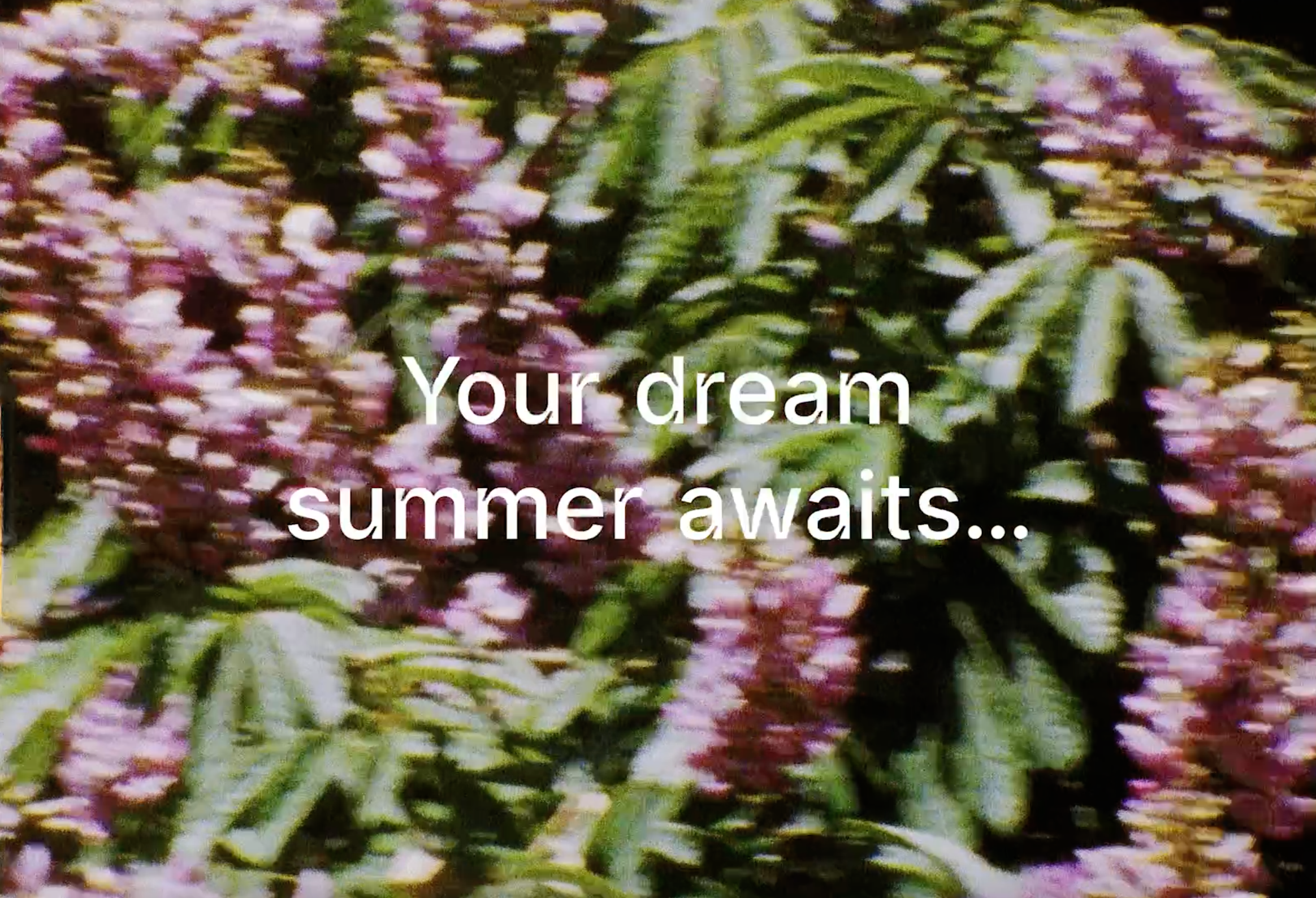 Screenshot 2026-01-06 at 12.41.05 PM.png