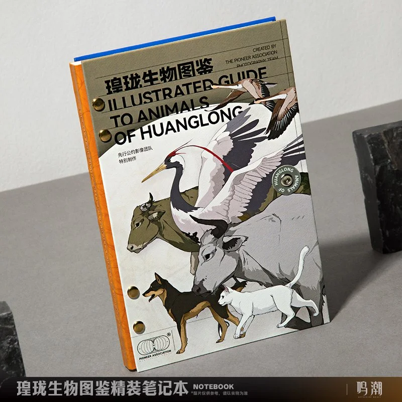 Wuthering Waves Release Celebration Set — Animon Official