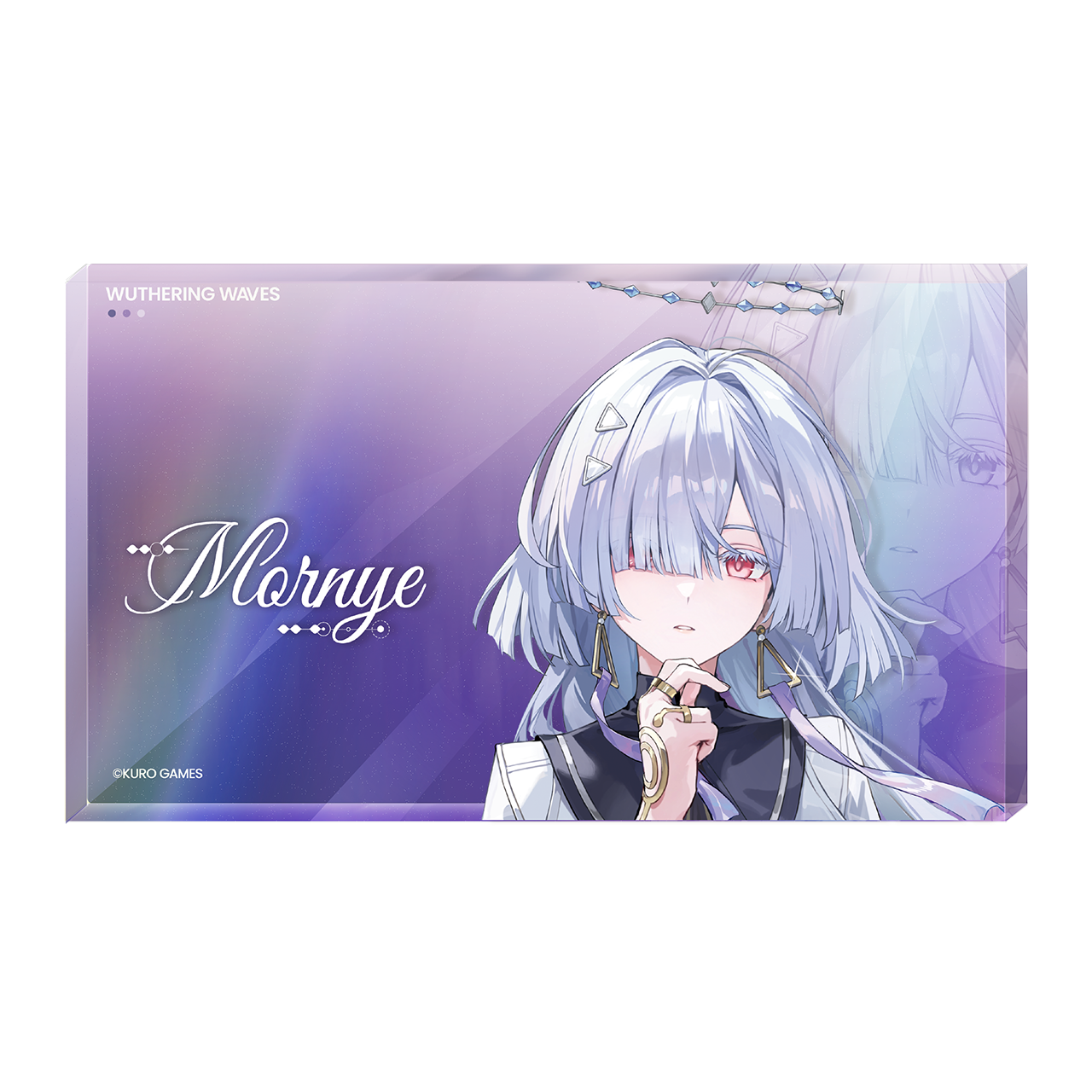 Wuthering Waves Resonator Theme Series Avatar Acrylic Display