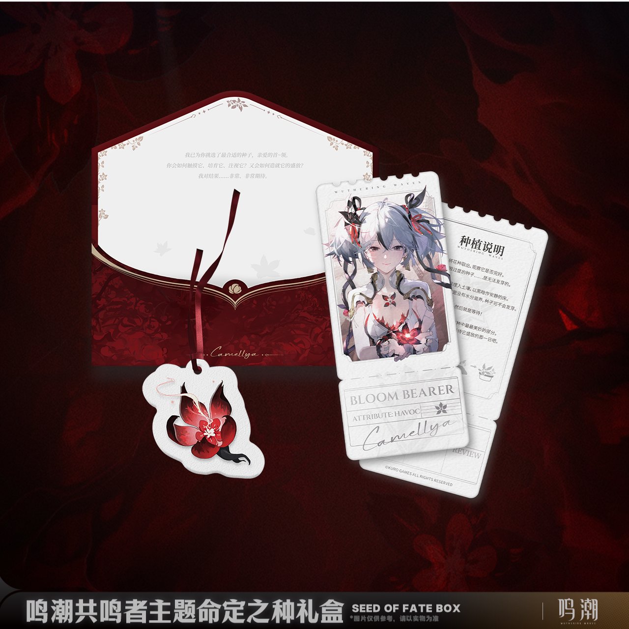 5ab1b651-d29b-46ee-a9cc-3ff128849ffa.jpg