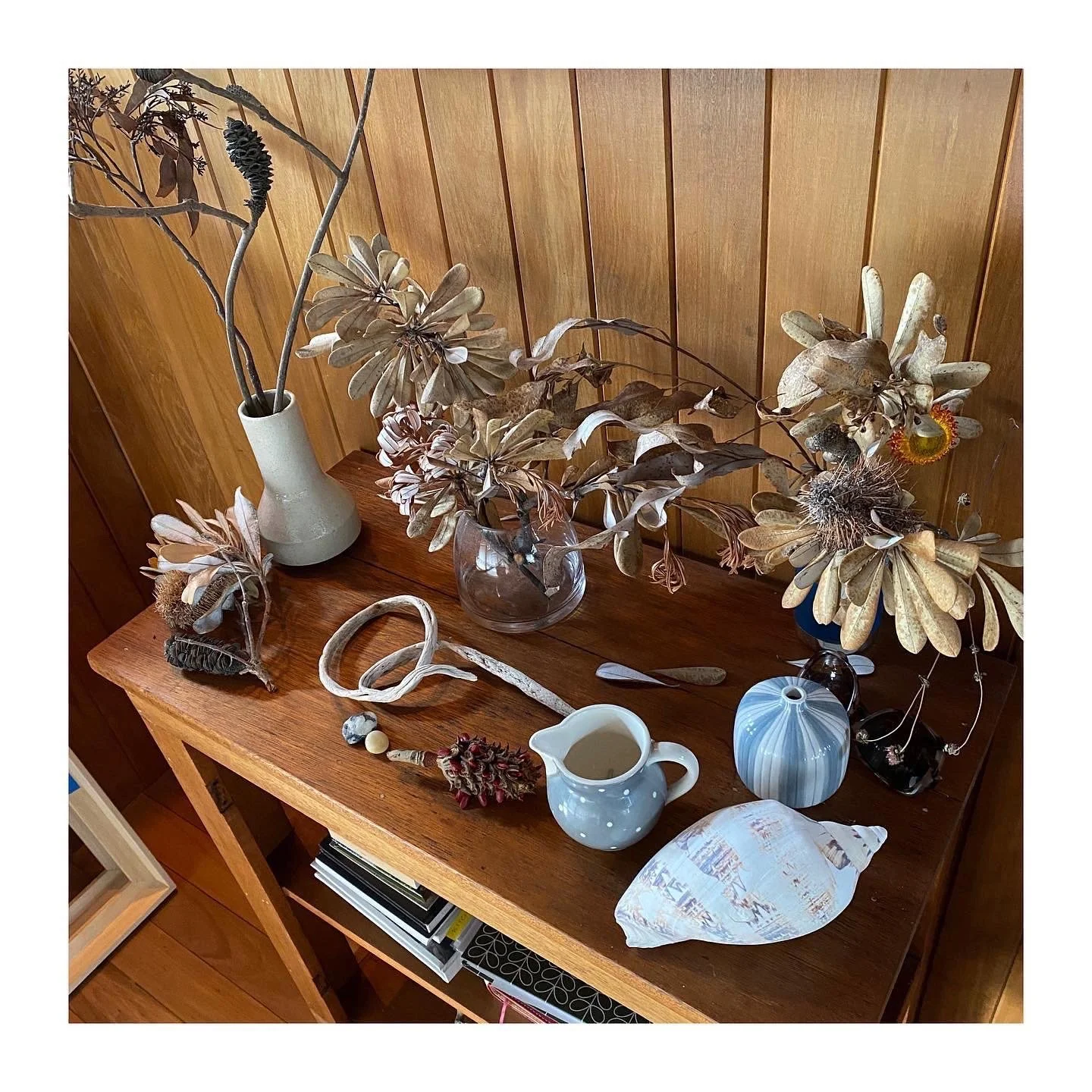 Specimen table, foraged dead things to inspire