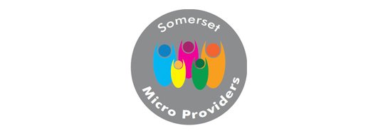 Somerset-micro-providers-600x300.jpg