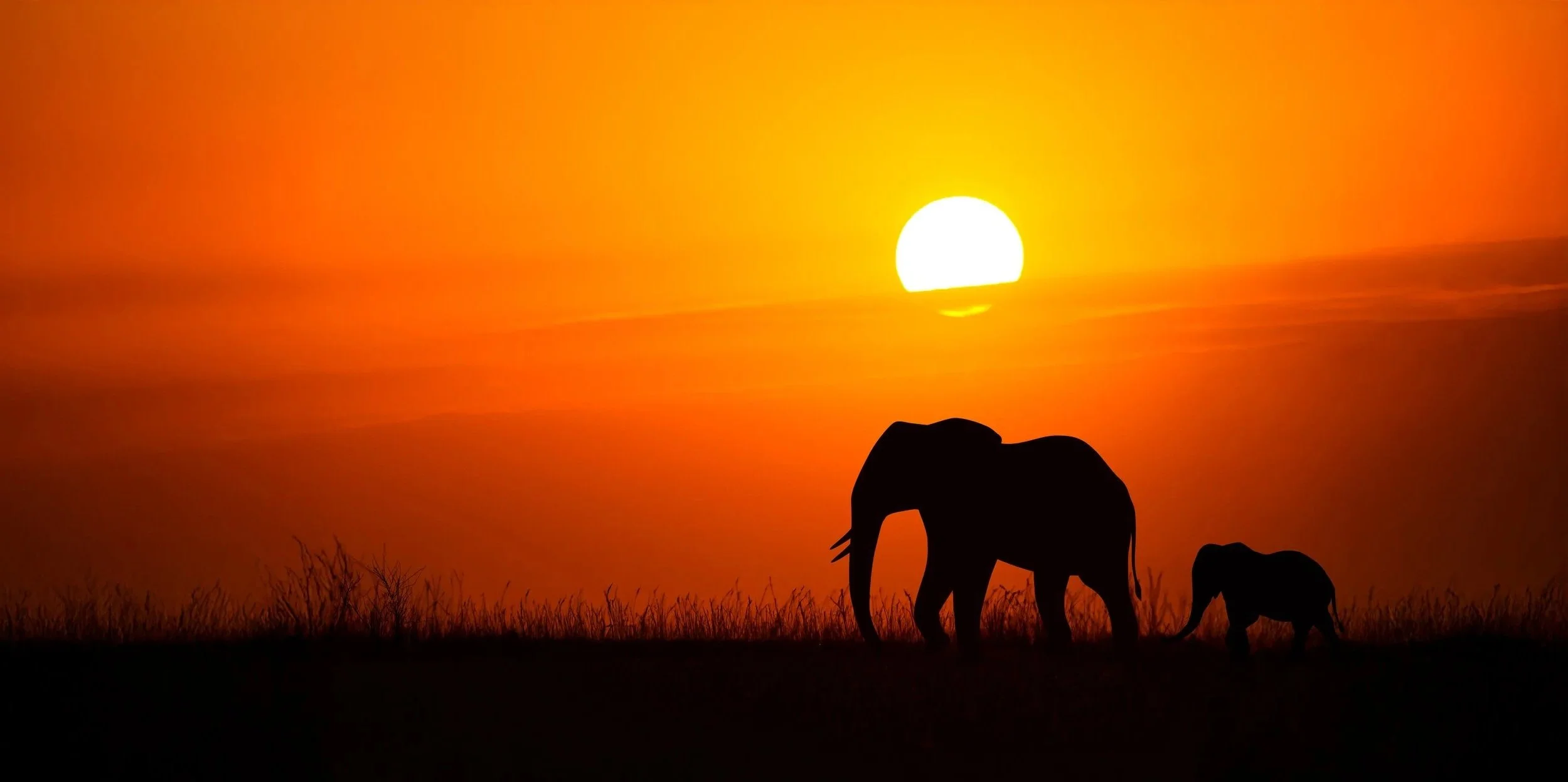 Africa Energies Summit 2026 Agenda Live