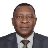 Africa Energies Summit Quote Augusto Macuvele