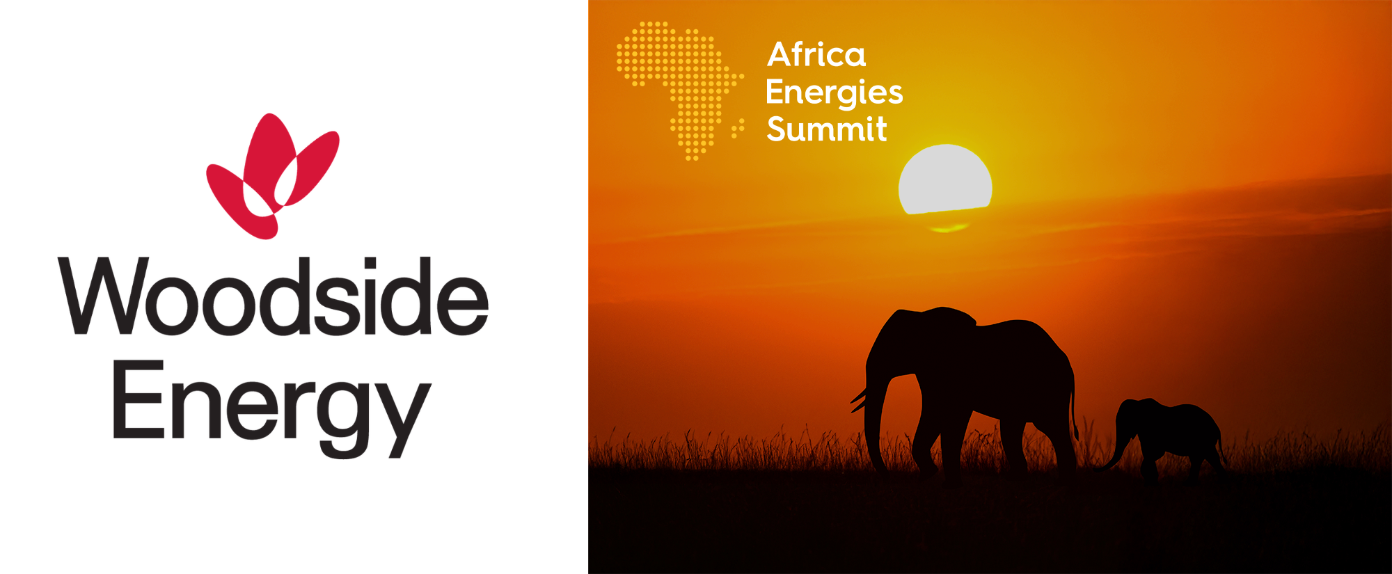 Woodside Energy branding featured alongside an African sunset and elephant silhouettes for the Africa Energies Summit.