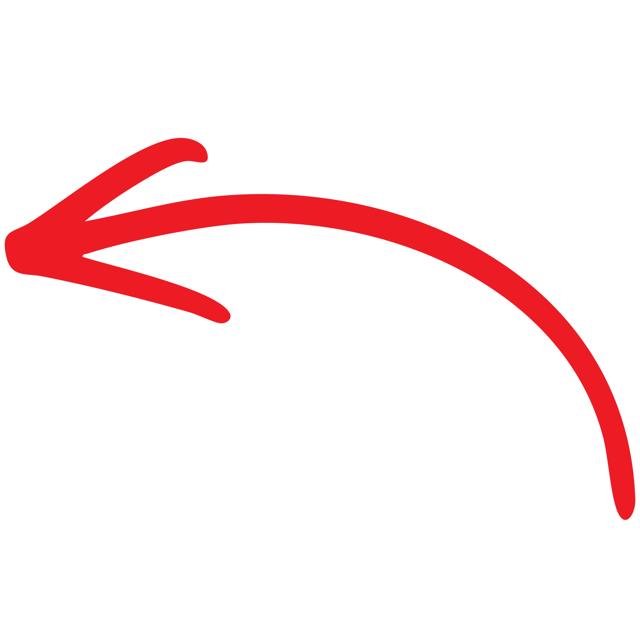 Red arrow left