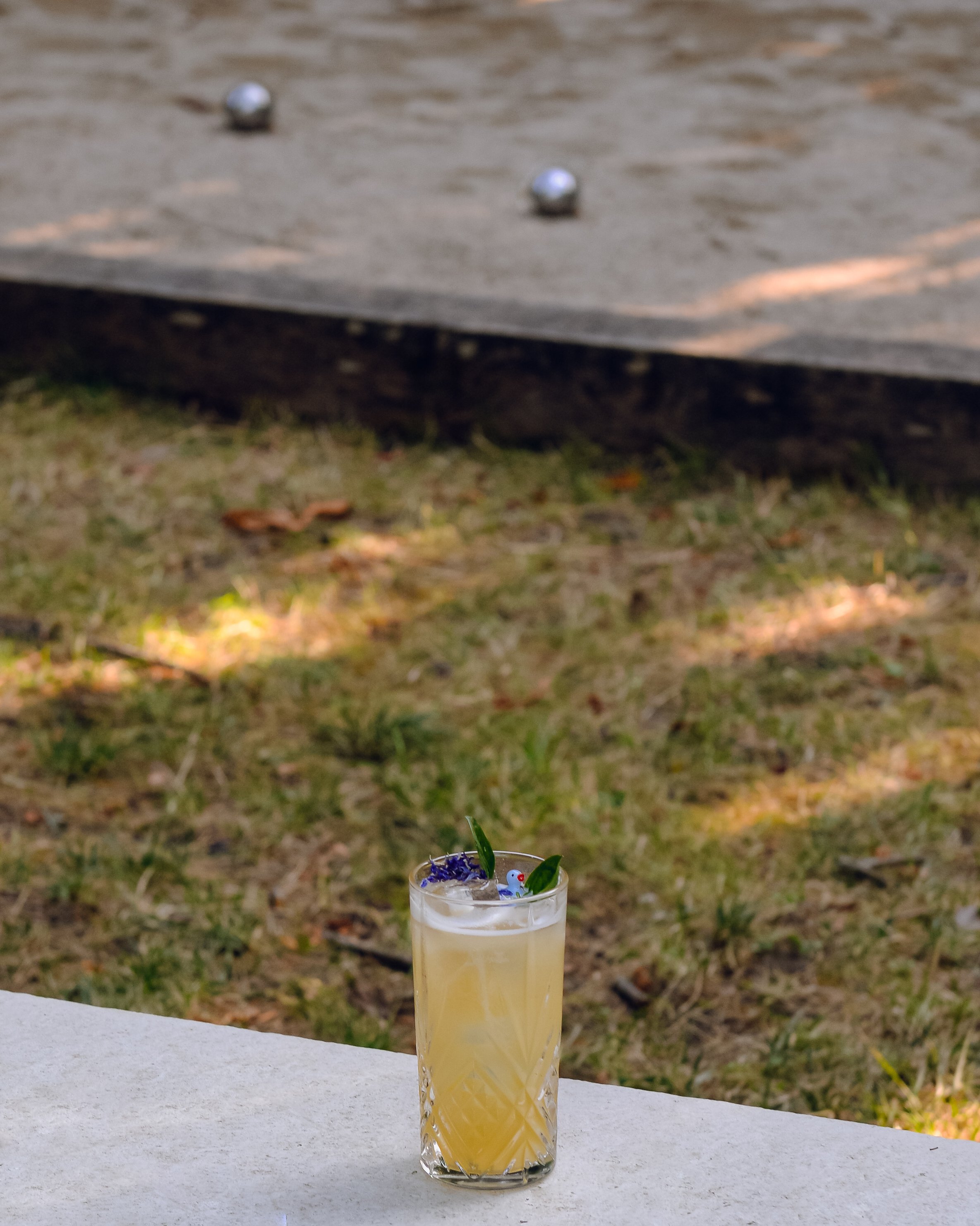 Chalet Des îles Daumesnil Anaë Gin