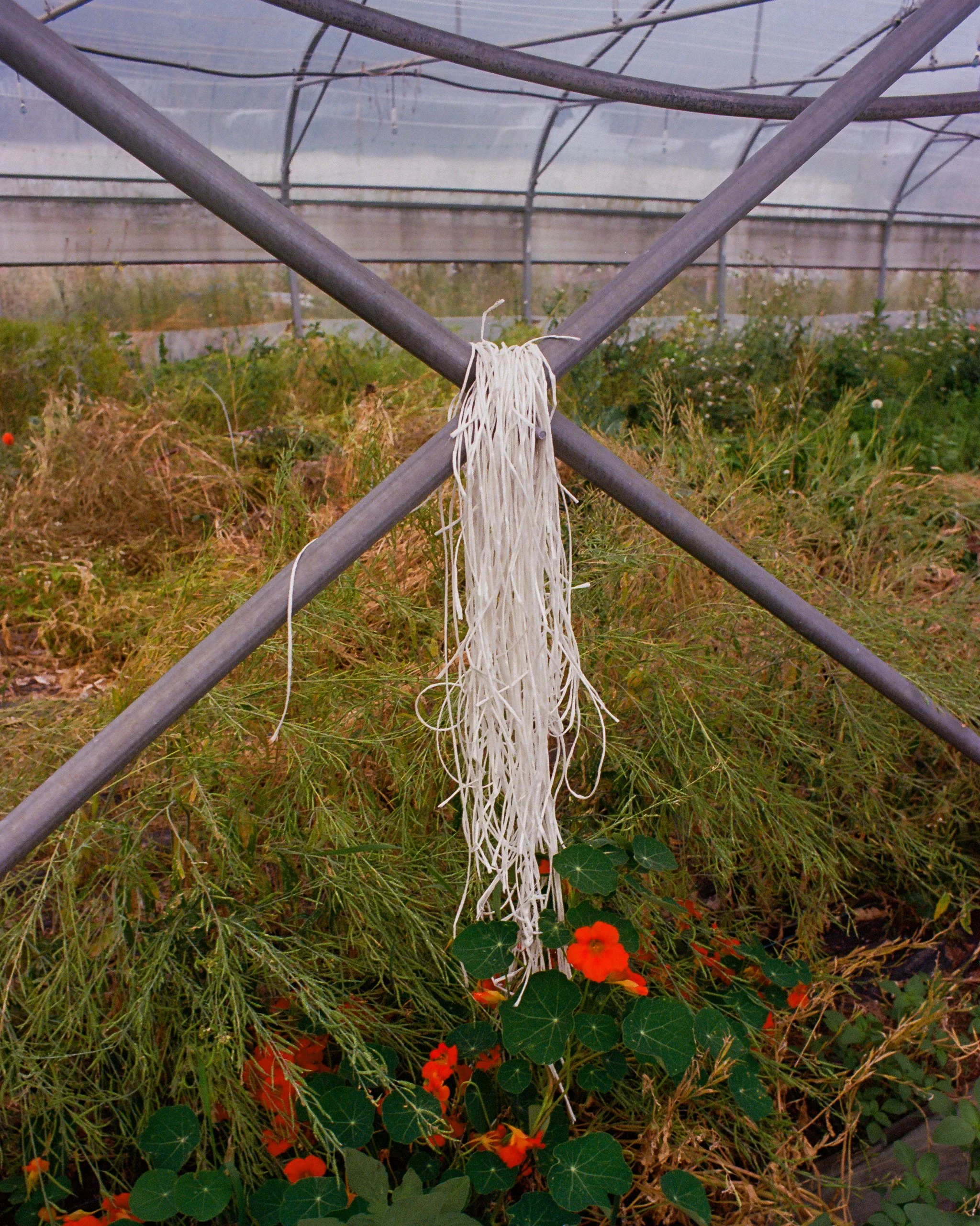 Près Neufs Farm x Fulgurances