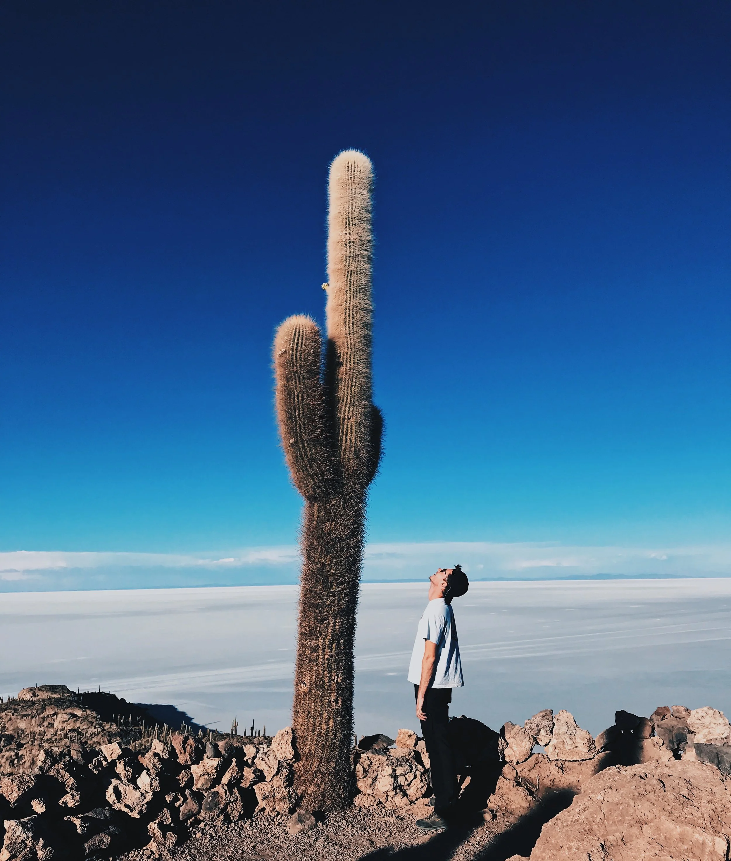 Een persoon staat naast een grote cactus in een woestijnachtig landschap onder een heldere blauwe hemel.
