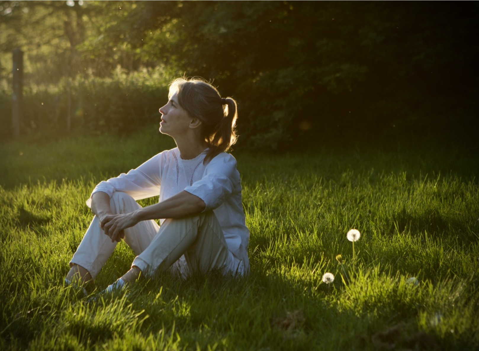 Inner Wisdom Programme